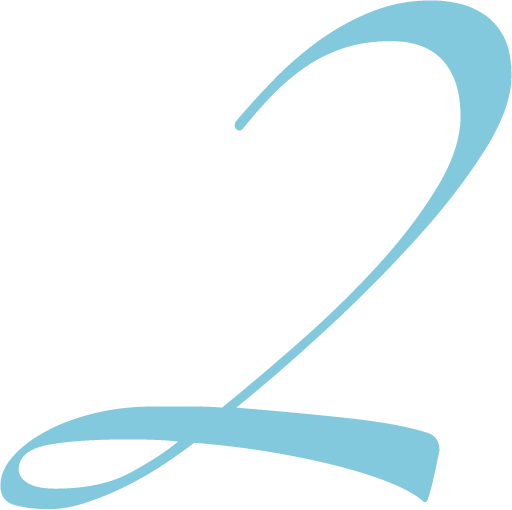 Black and blue logo of a stylized letter 'Z' with a swooping tail.
