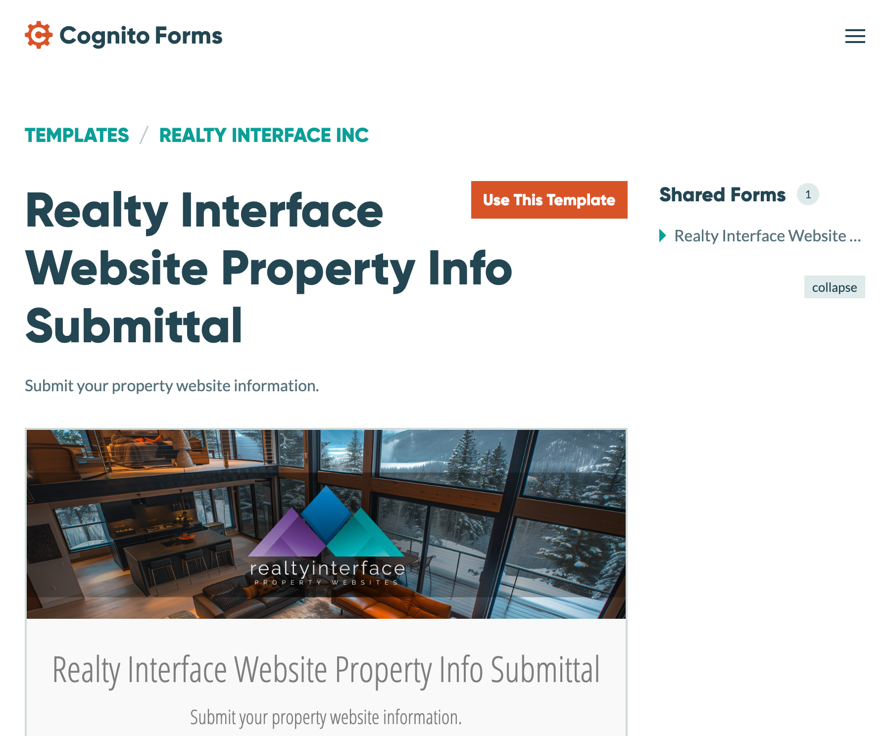 Screenshot of a real estate website form titled 'Realty Interface Website Property Info Submittal' with an image of a modern, snow-covered house interior and the Realty Interface logo.