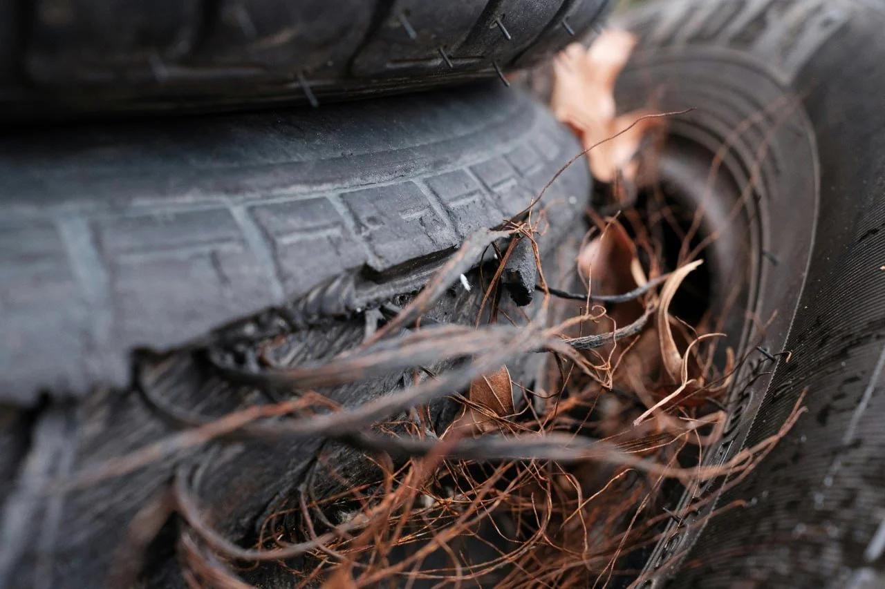 discarded tire in natural landscape illustrating environmental waste problem