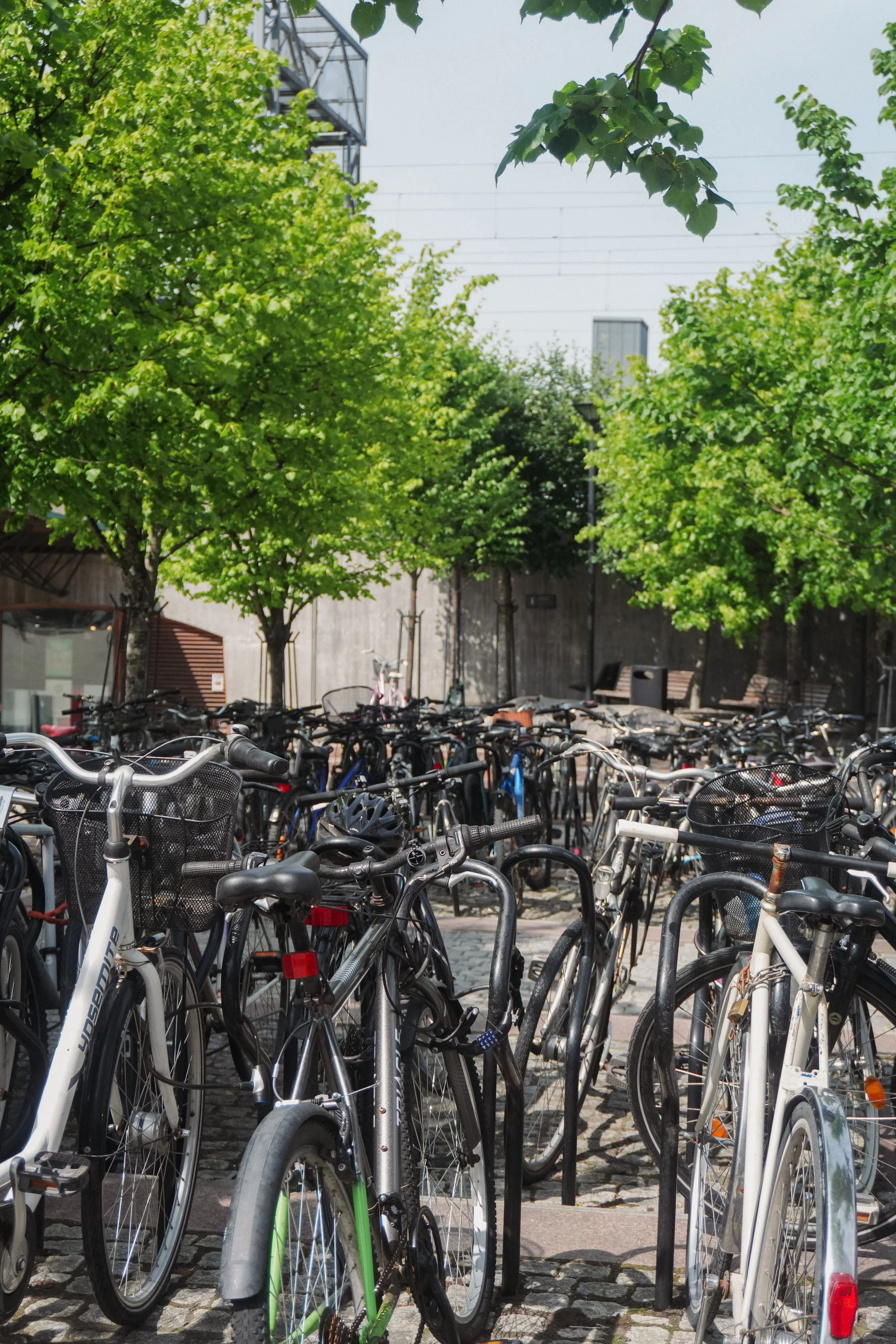 UYSzaeEg – Kopi.jpeg