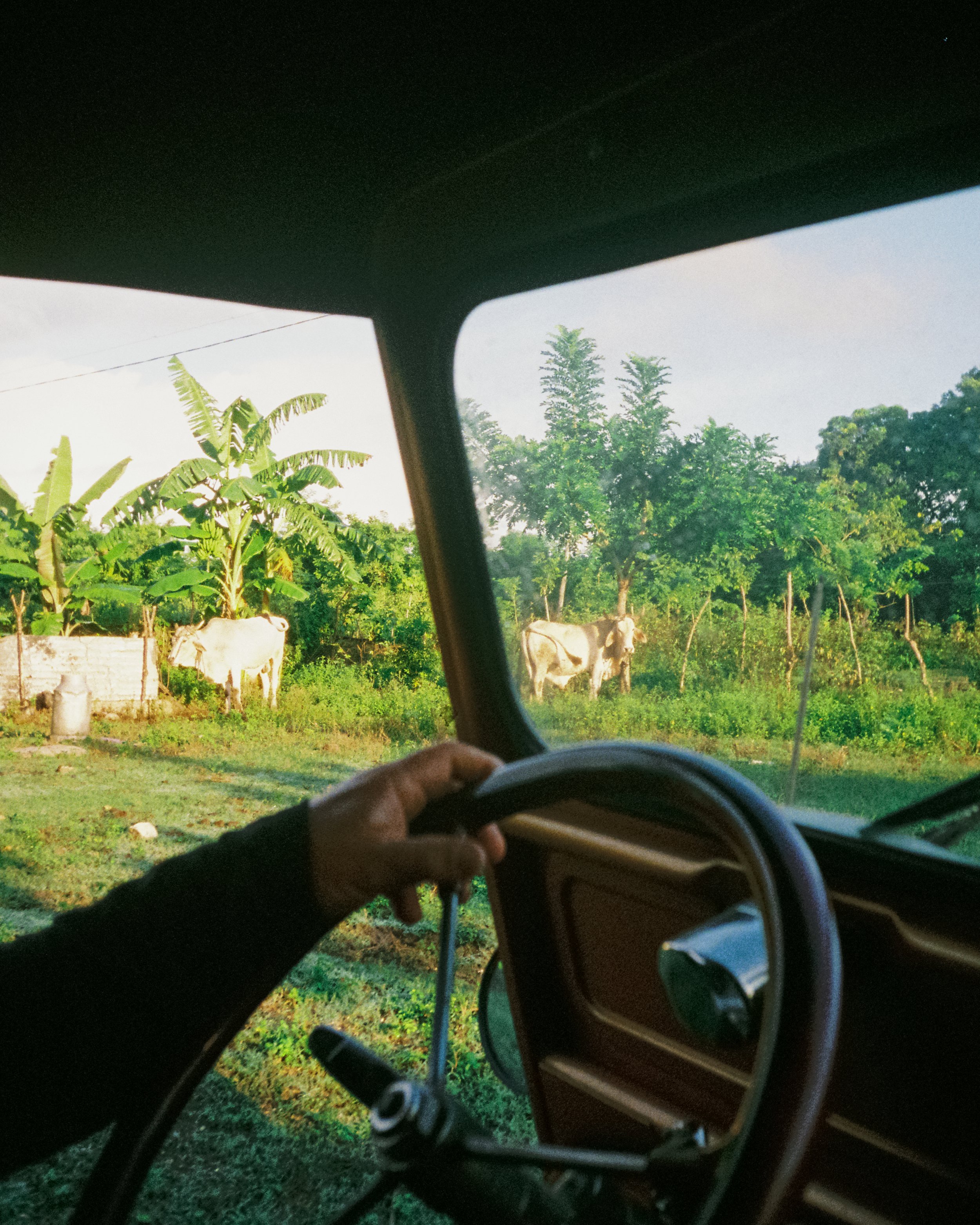 Las Damas, Cuba.