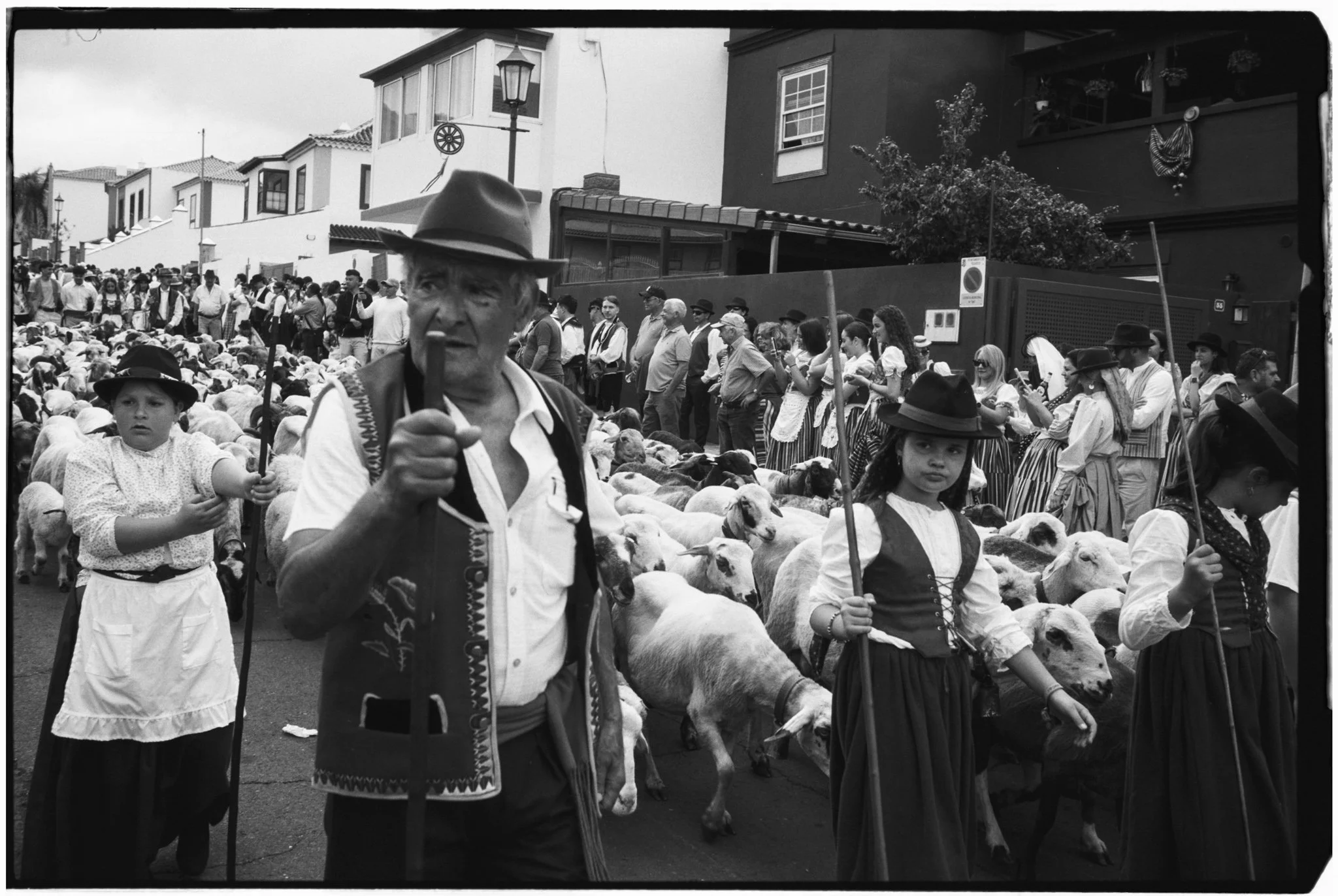 03062026-4929 - 2026.06.03 - Julio Díaz - Kentmere 100-20.jpg