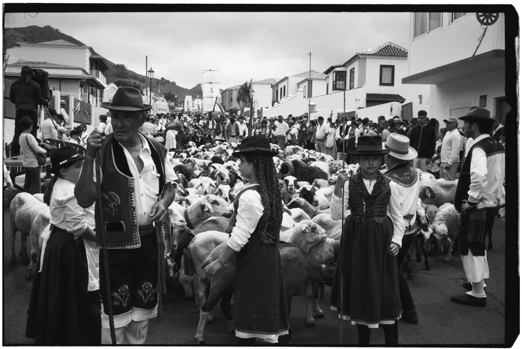 03062026-4929 - 2026.06.03 - Julio Díaz - Kentmere 100-18.jpg