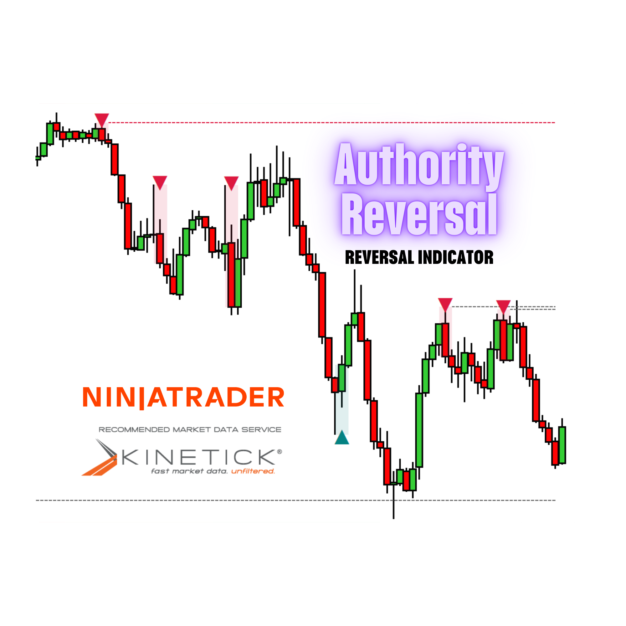 Authority Reversal™ — Precision Reversal & Exhaustion Detection Monthly Subscription