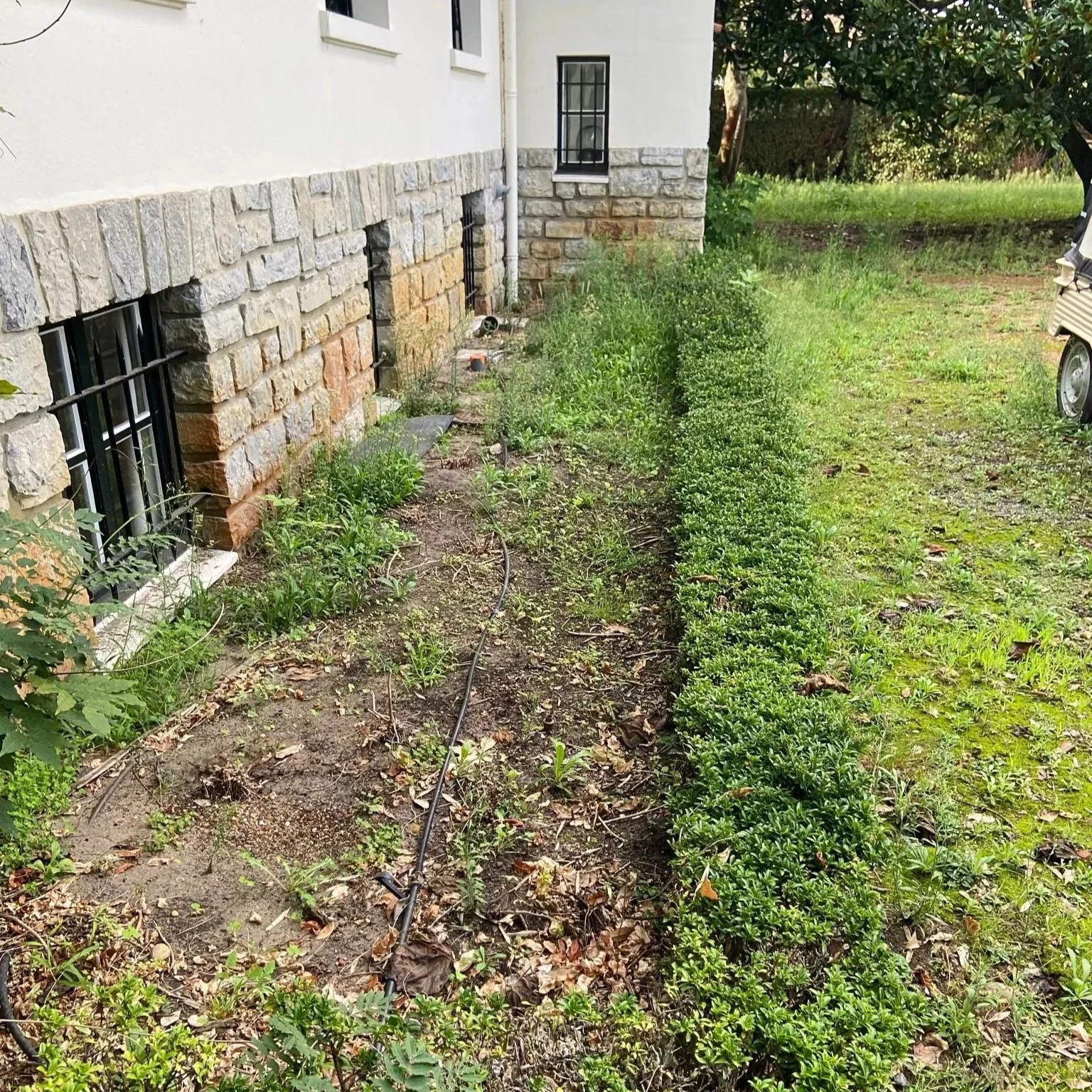 Jardin avec des buissons alignés près d'une maison avec murs en pierre et plomberie visible.