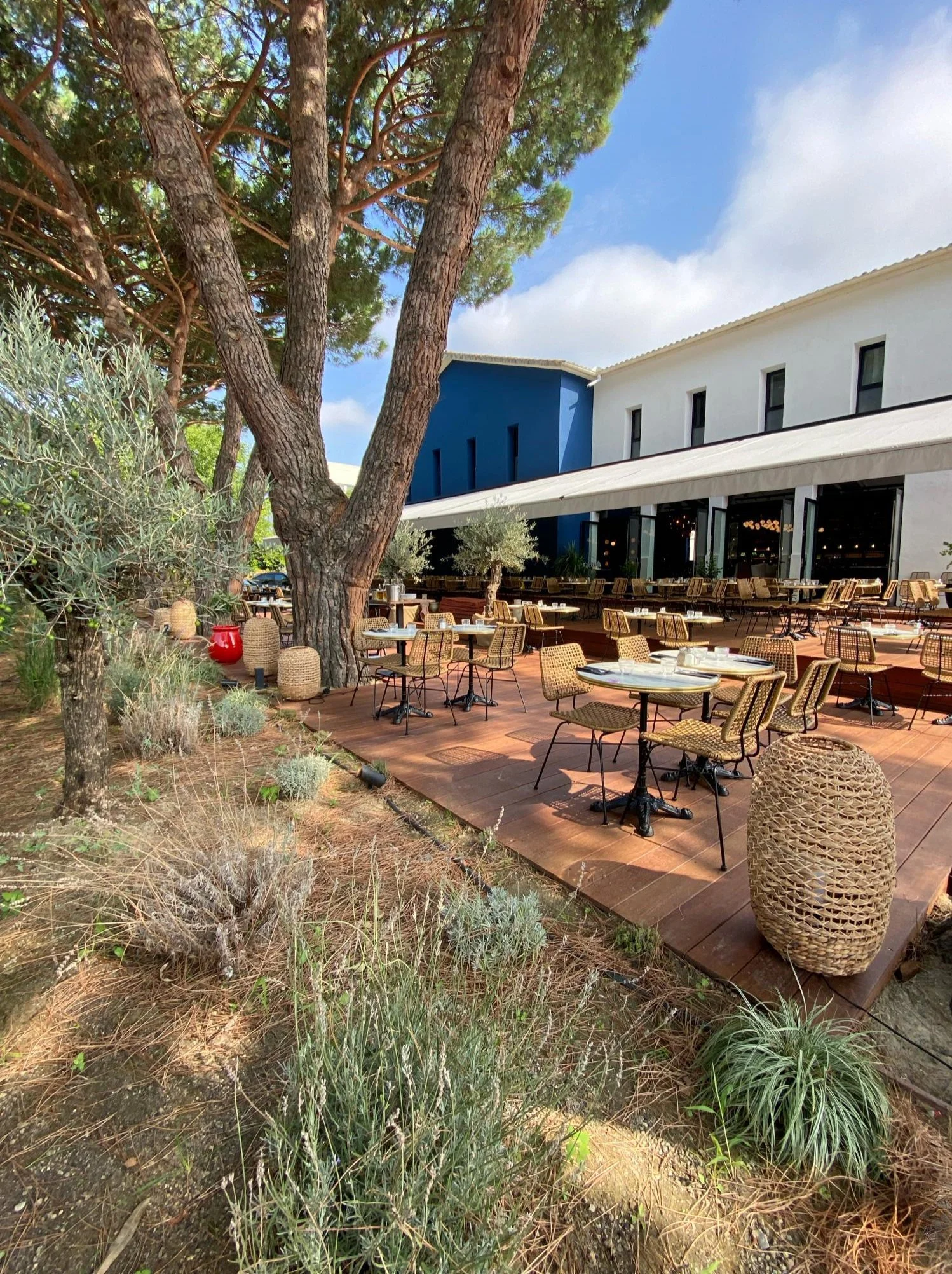 Terrasse extérieure avec des tables et des chaises en rotin, sous un arbre et face à un bâtiment moderne blanc et bleu, avec un ciel en partie nuageux.