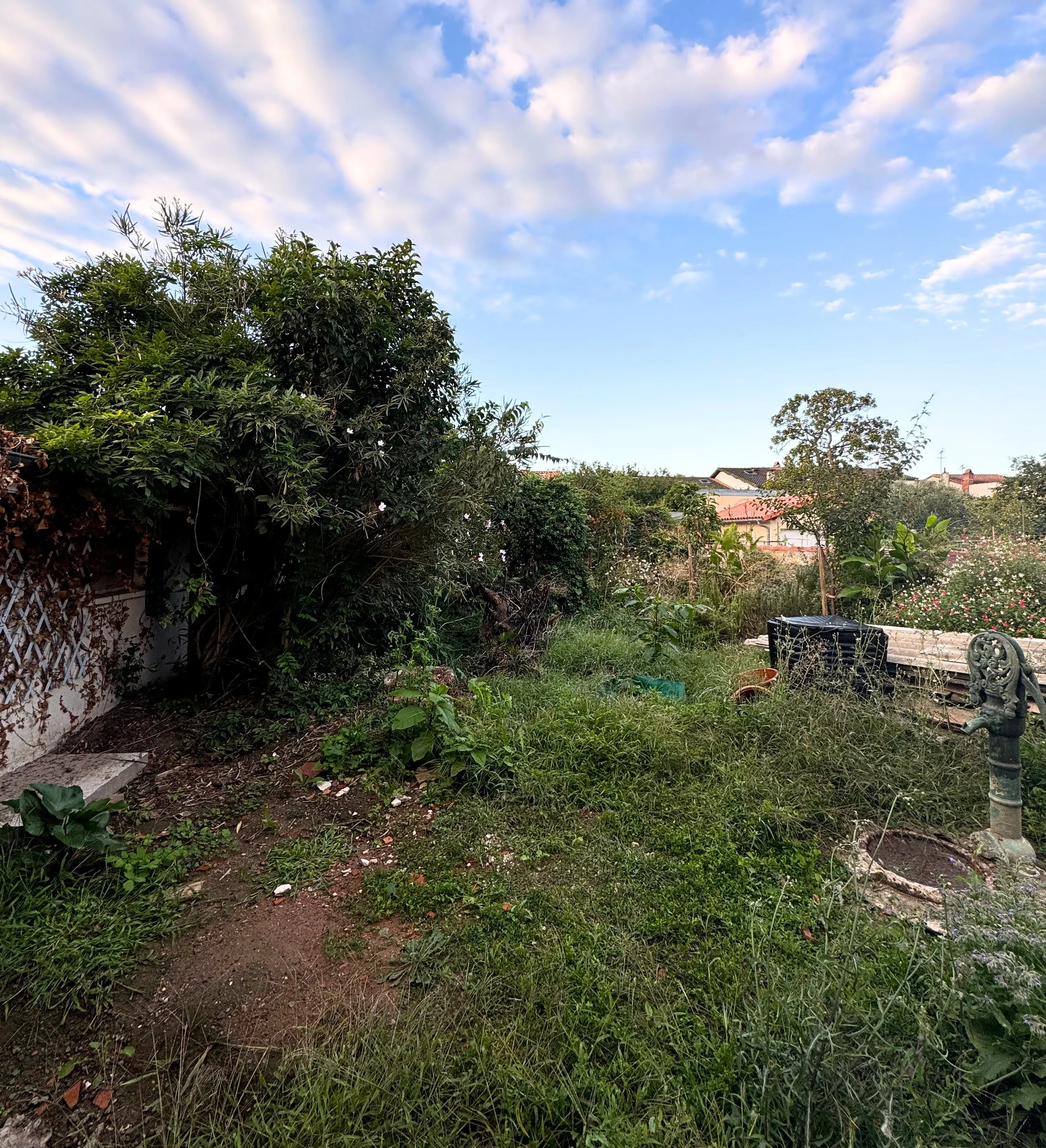 Jardin avec pelouse, arbres et buissons sous un ciel bleu parsemé de nuages blancs.