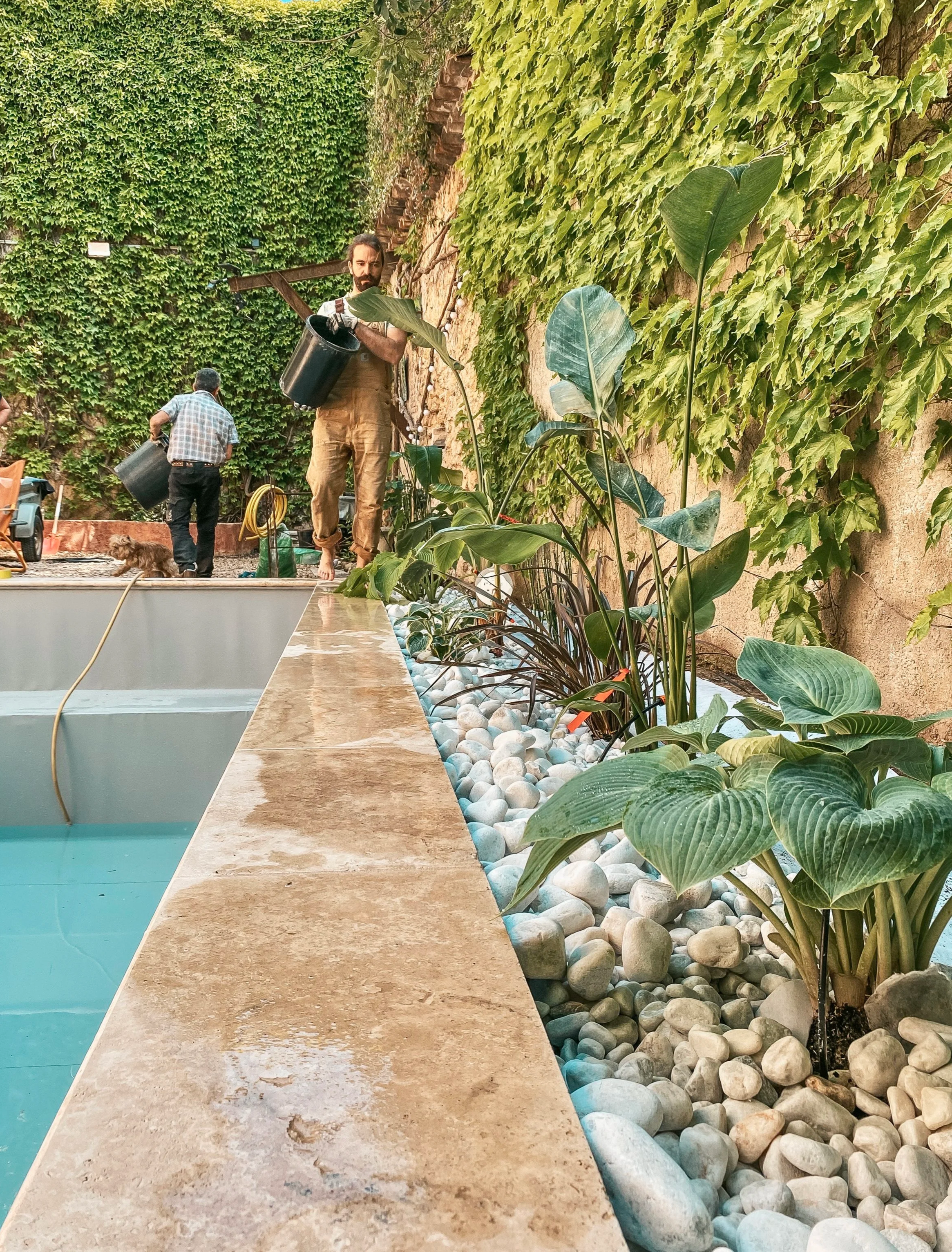 Deux hommes travaillent dans un jardin ou un espace vert, avec des plantes vertes, un mur en pierre et un mur recouvert de végétation. Un chien petit ou moyen et une tuyauterie sont également visibles.