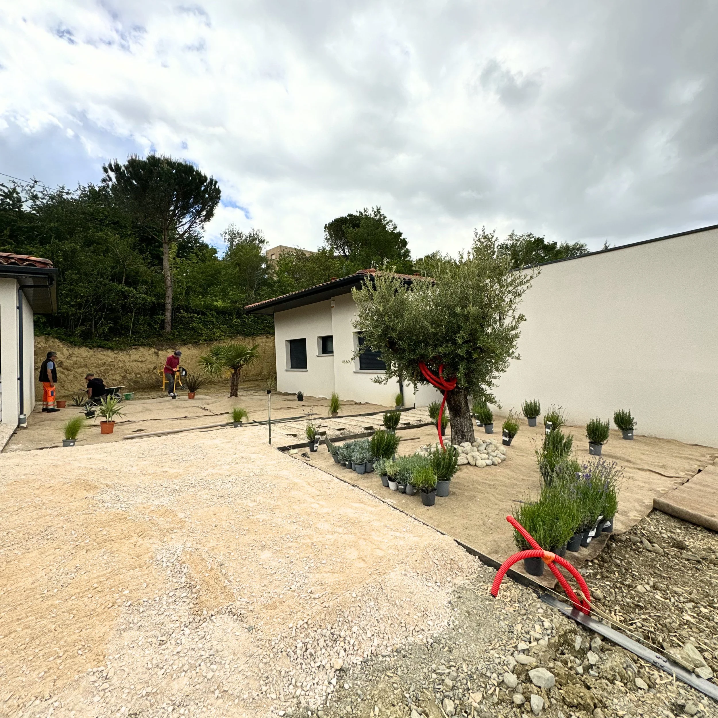 Jardin en construction avec jeunes arbres plantés, pelle, tuyaux rouges, et maison moderne en arrière-plan.