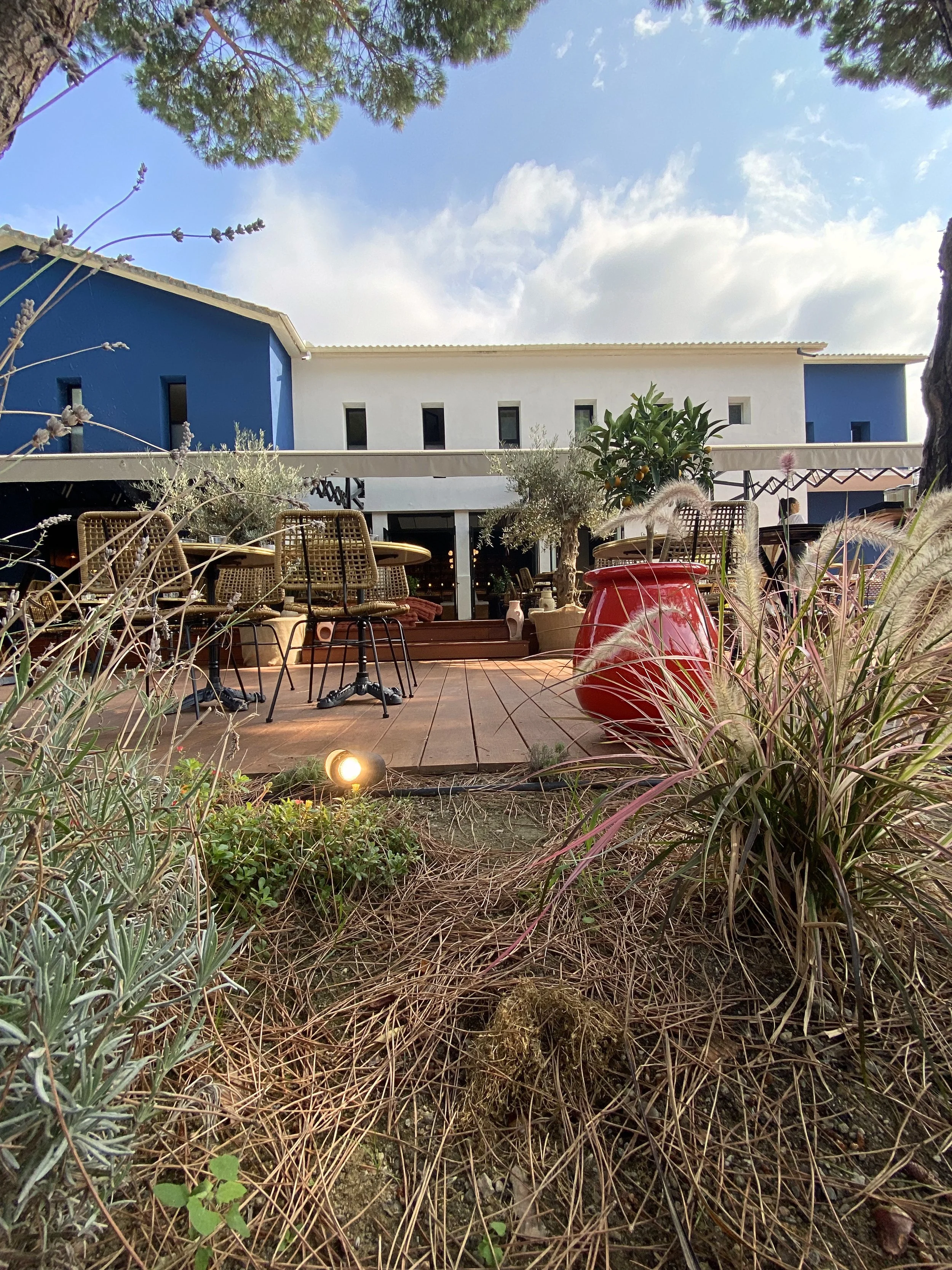 Patio extérieur avec des chaises en rotin, des plantes en pot, des lampes extérieures et un bâtiment blanc avec des fenêtres verticales, entouré d'arbres et de végétation, sous un ciel partiellement nuageux.