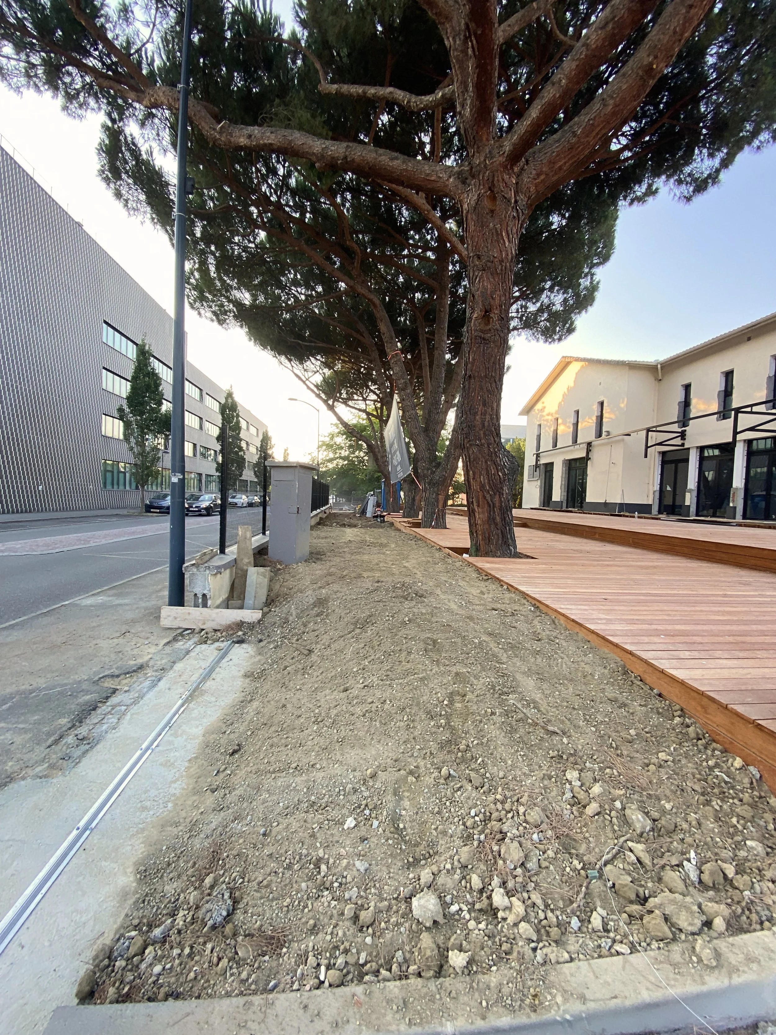 Travaux en cours sur une voie pavée en bois avec des grands arbres à proximité, bâtiment moderne en arrière-plan.