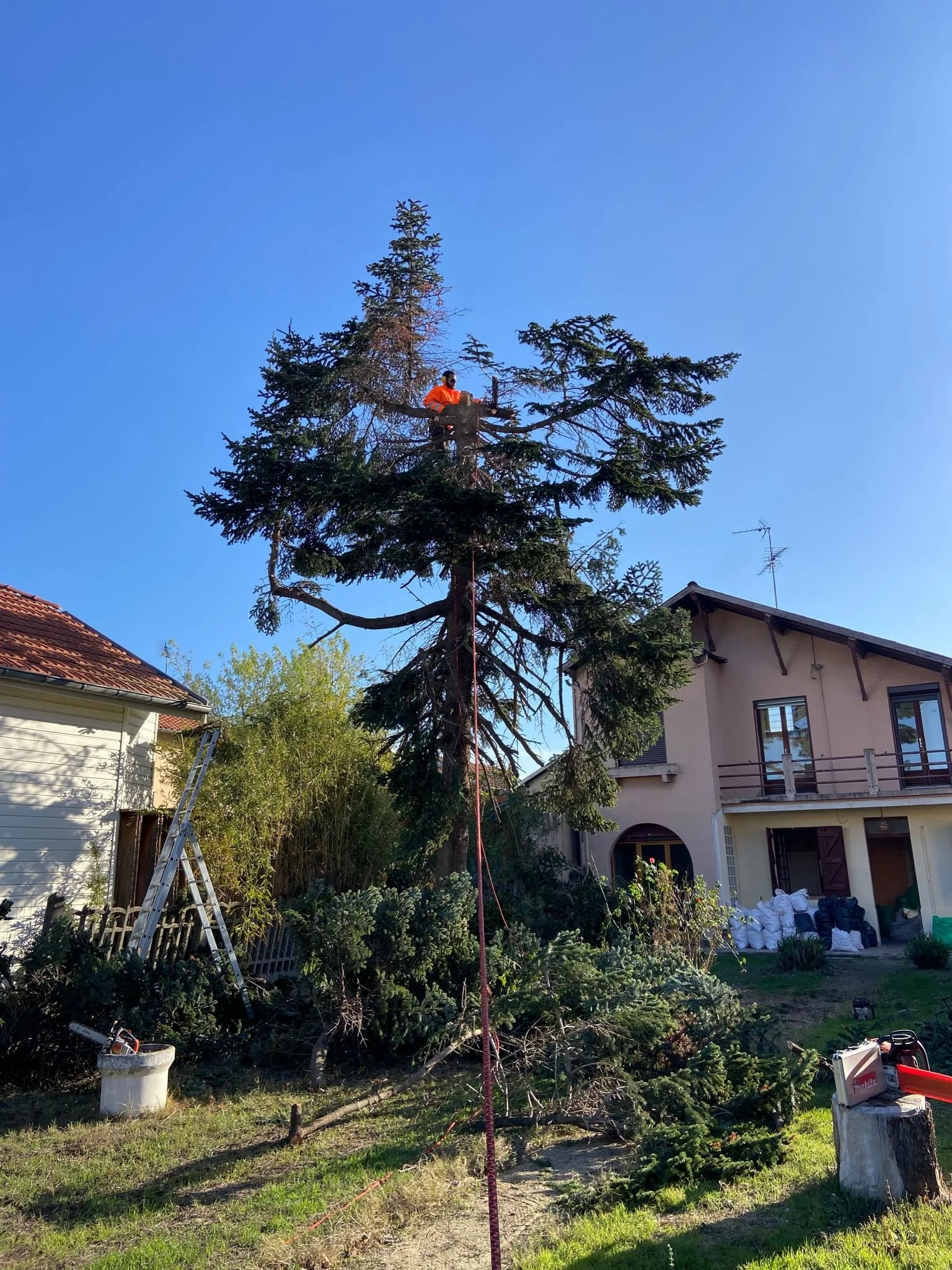 Un homme en tenue orange menuisier est perché dans un arbre, probablement en train d'élaguer ou d'entretenir les branches, sous un ciel bleu clair dans une zone résidentielle.