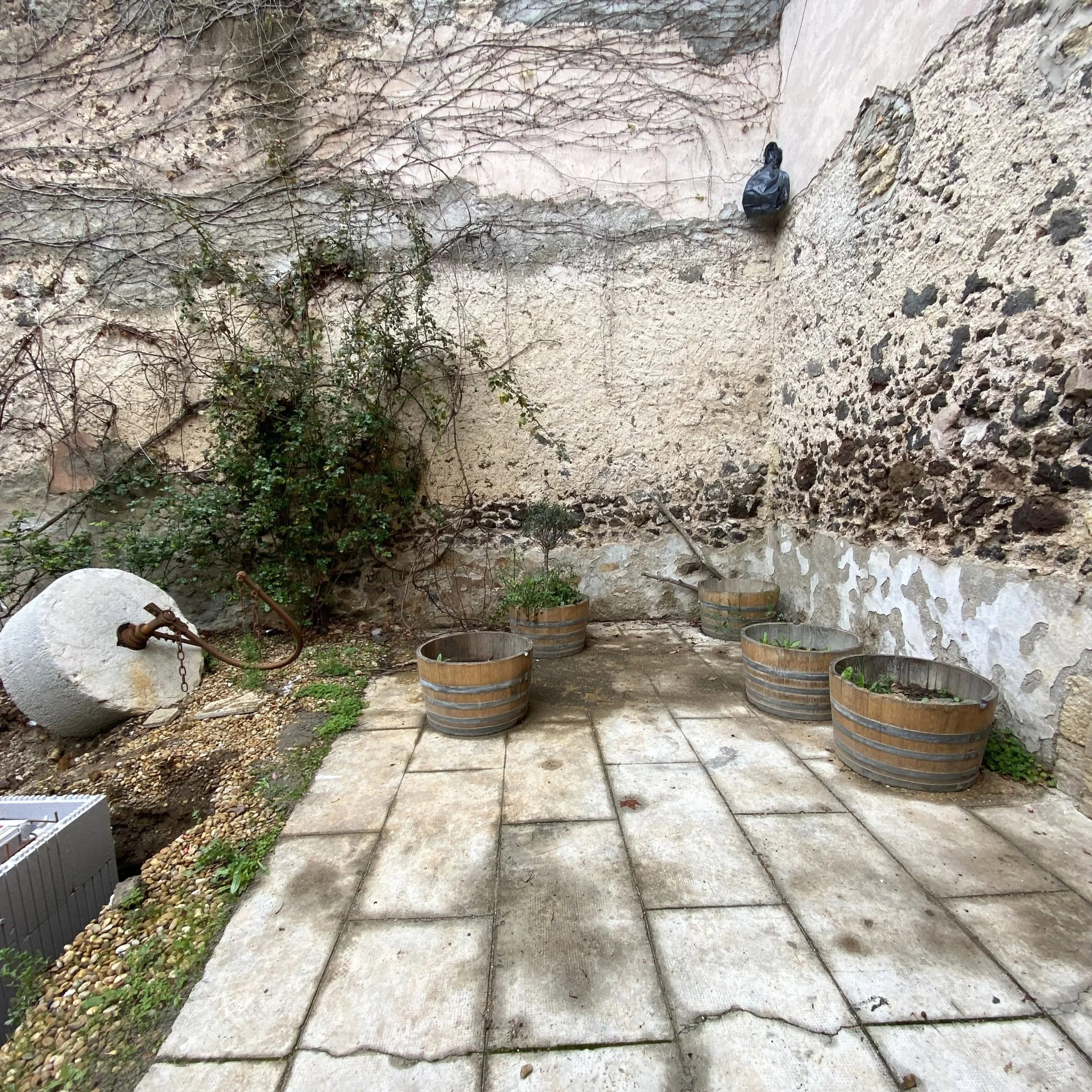 Cour pavée avec six grands contenants en bois contenant des plantes vertes, un rocher blanc à gauche et un mur en pierre à l'arrière, décoré de vignes sèches.