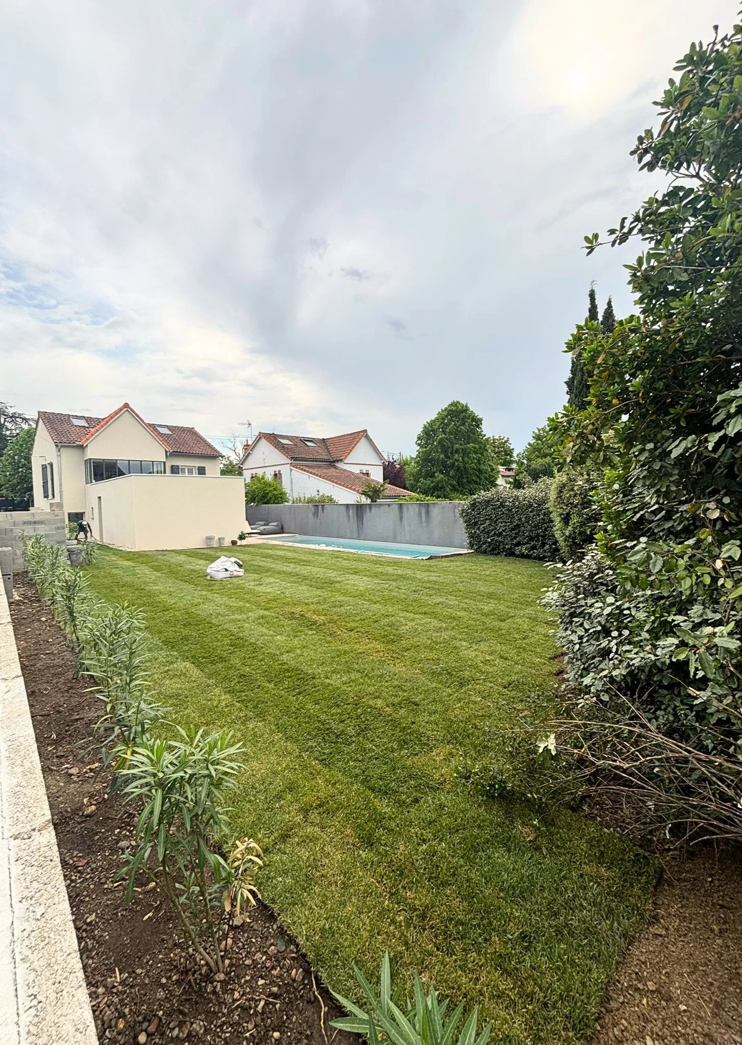 Jardin bien entretenu avec un gazon vert, des jeunes plantes le long du bord, des haies sur un côté, une piscine recouverte et des maisons modernes en arrière-plan, sous un ciel nuageux.