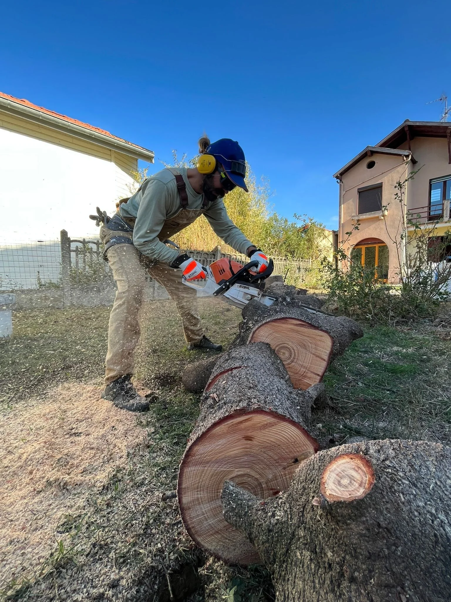 Une personne coupe une grande souche d'arbre avec une tronçonneuse dans un jardin résidentiel. La personne porte des équipements de protection, y compris des écouteurs antibruit, un casque, des lunettes de sécurité, des gants et des vêtements de travail. La scène se passe en plein jour avec un ciel bleu.
