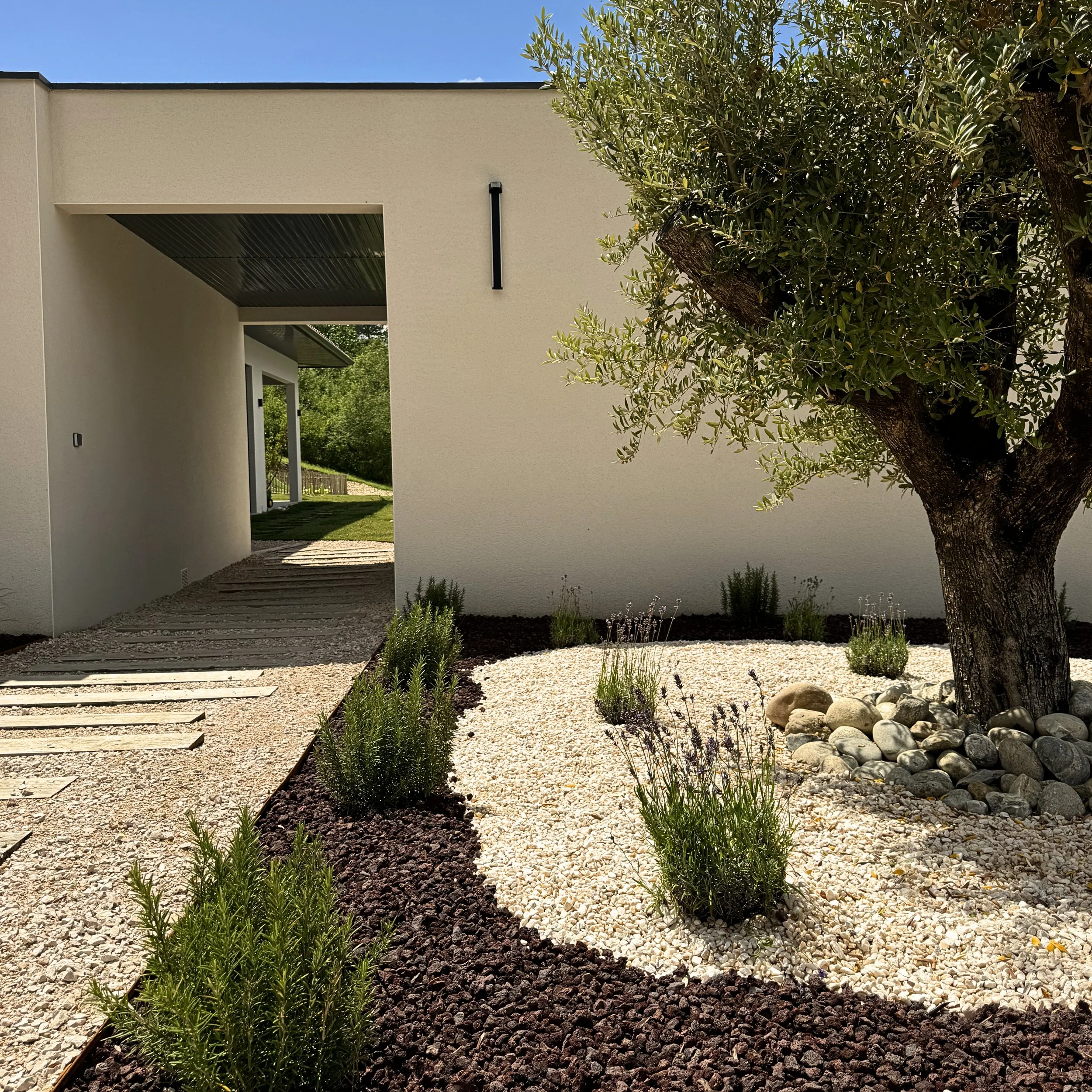 Une façade blanche moderne avec un corridor sous un auvent en acier noir et un arbre vert feuillu à droite, un jardin de galets et de jeunes plants au premier plan.