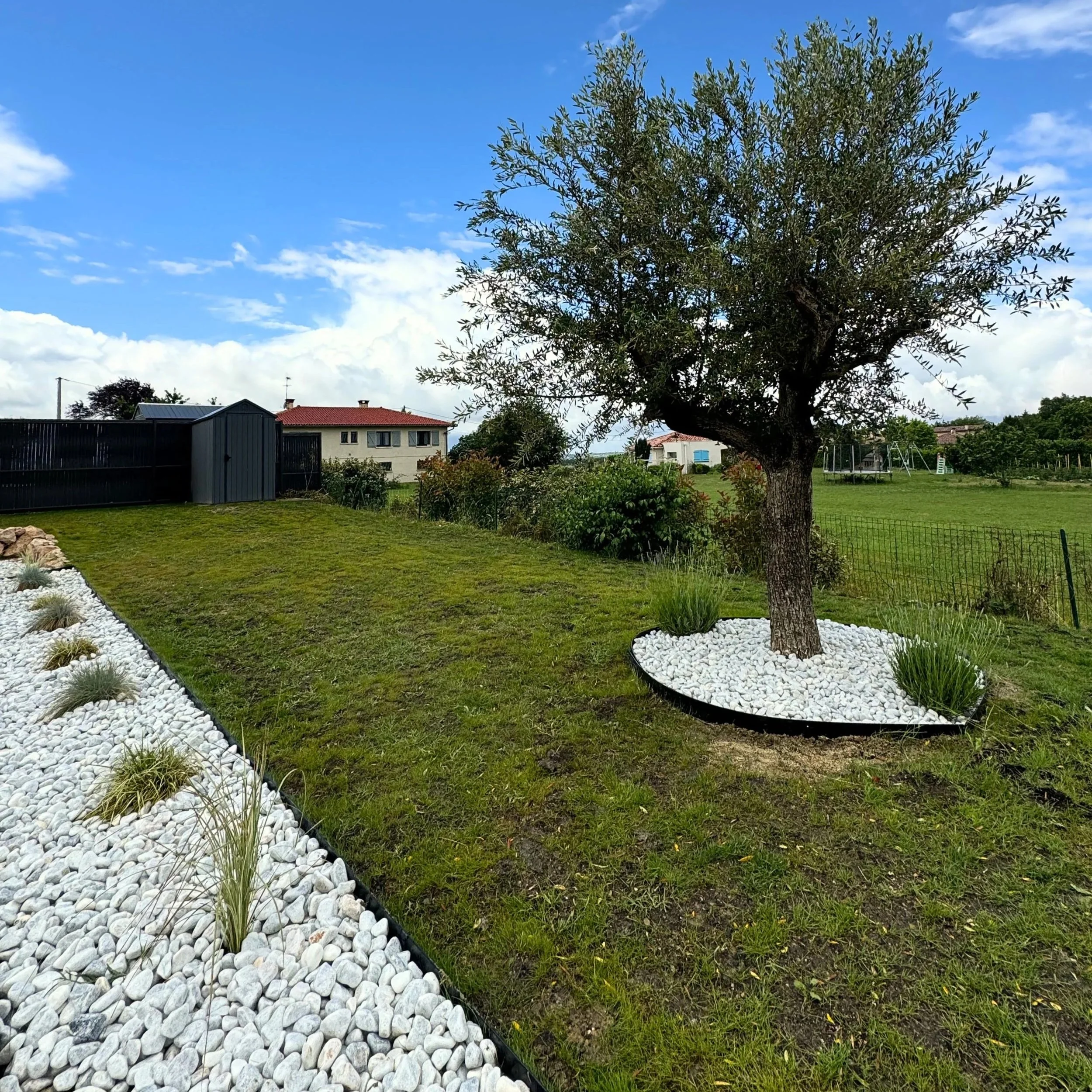 Jardin avec un grand arbre, pelouse verte, bordée de pierres blanches, maisons en arrière-plan, ciel bleu avec quelques nuages.