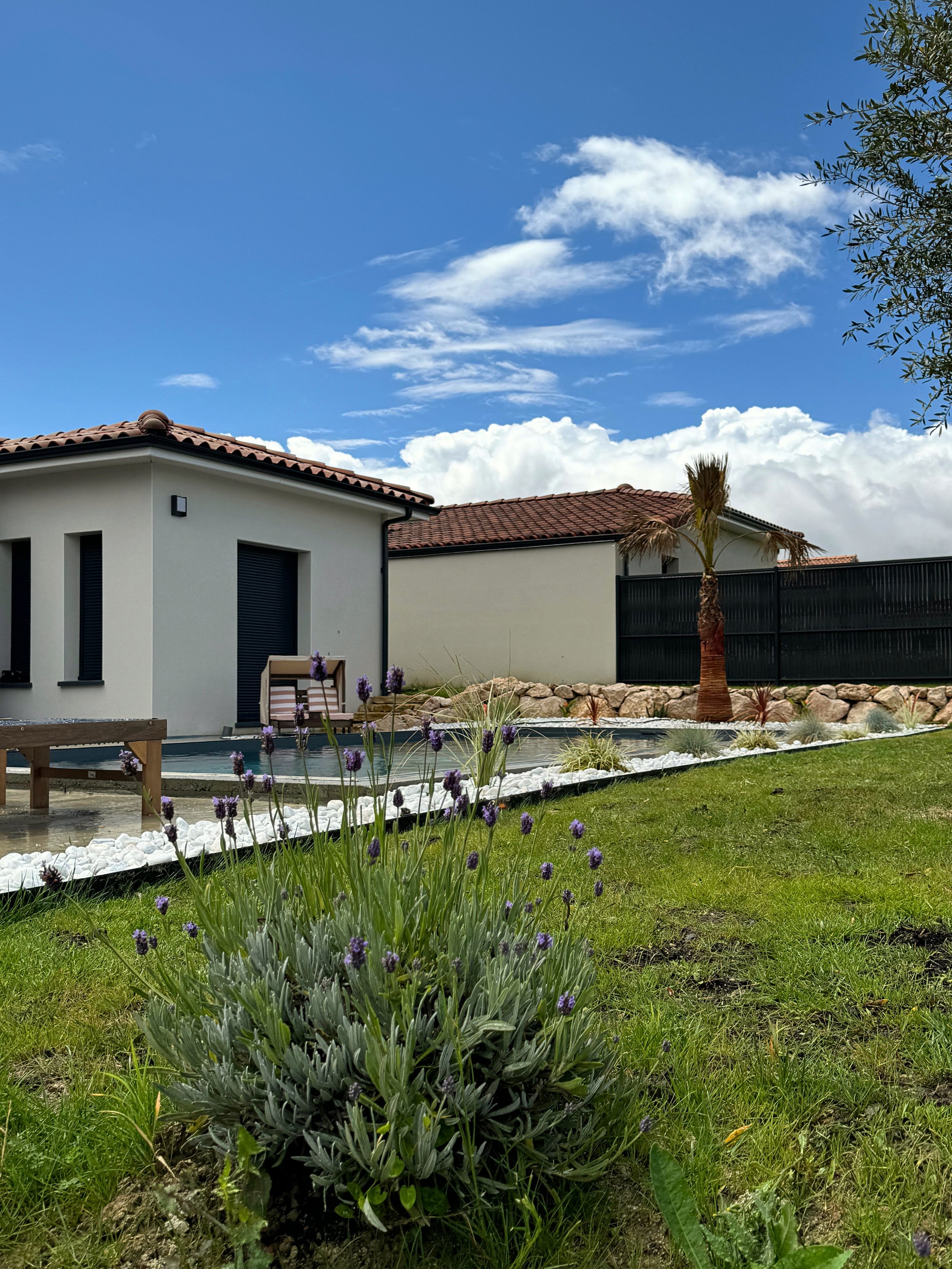 Jardin avec une maison moderne, une piscine, un palmier, et des plantes en fleurs sur un fond de ciel bleu avec quelques nuages.