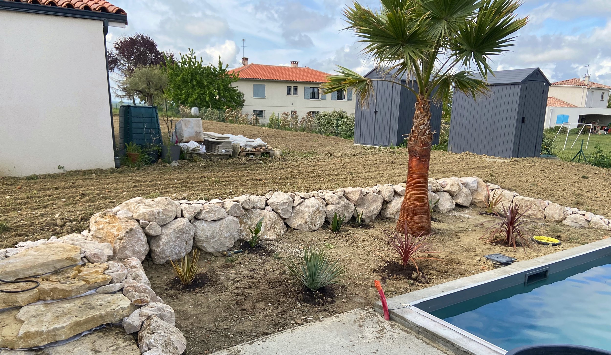 Jardin en cours d'aménagement avec une palme, une bordure de pierres, un bassin, des plantes poussent et des structures de rangement bleues en arrière-plan.