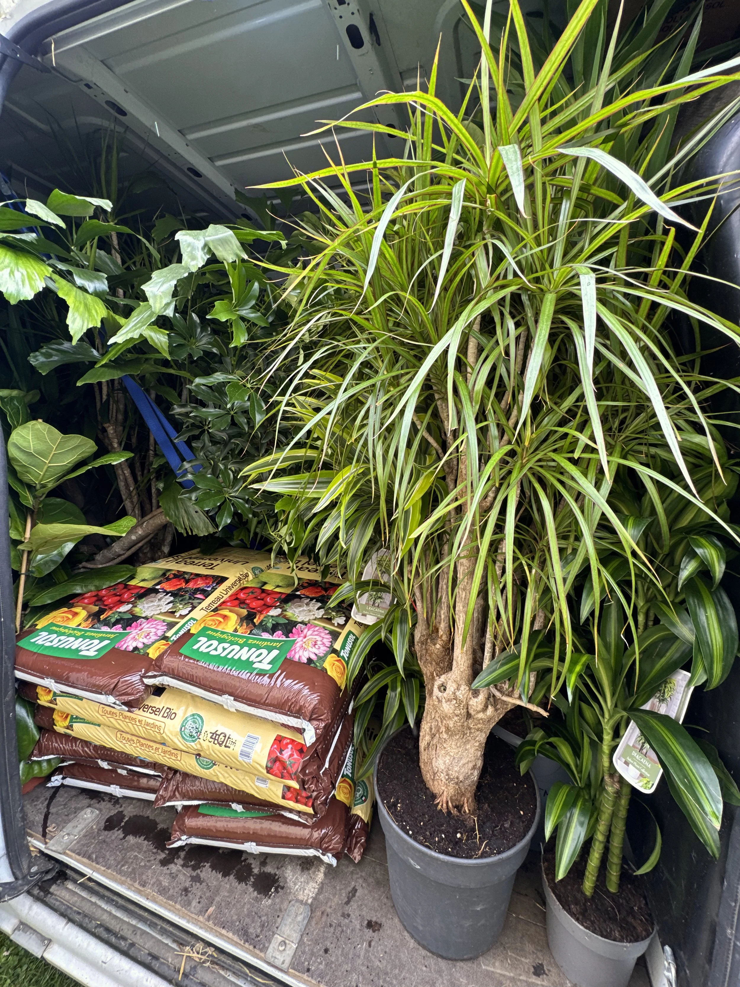 Plantes en pots et sacs de terreau dans un camion