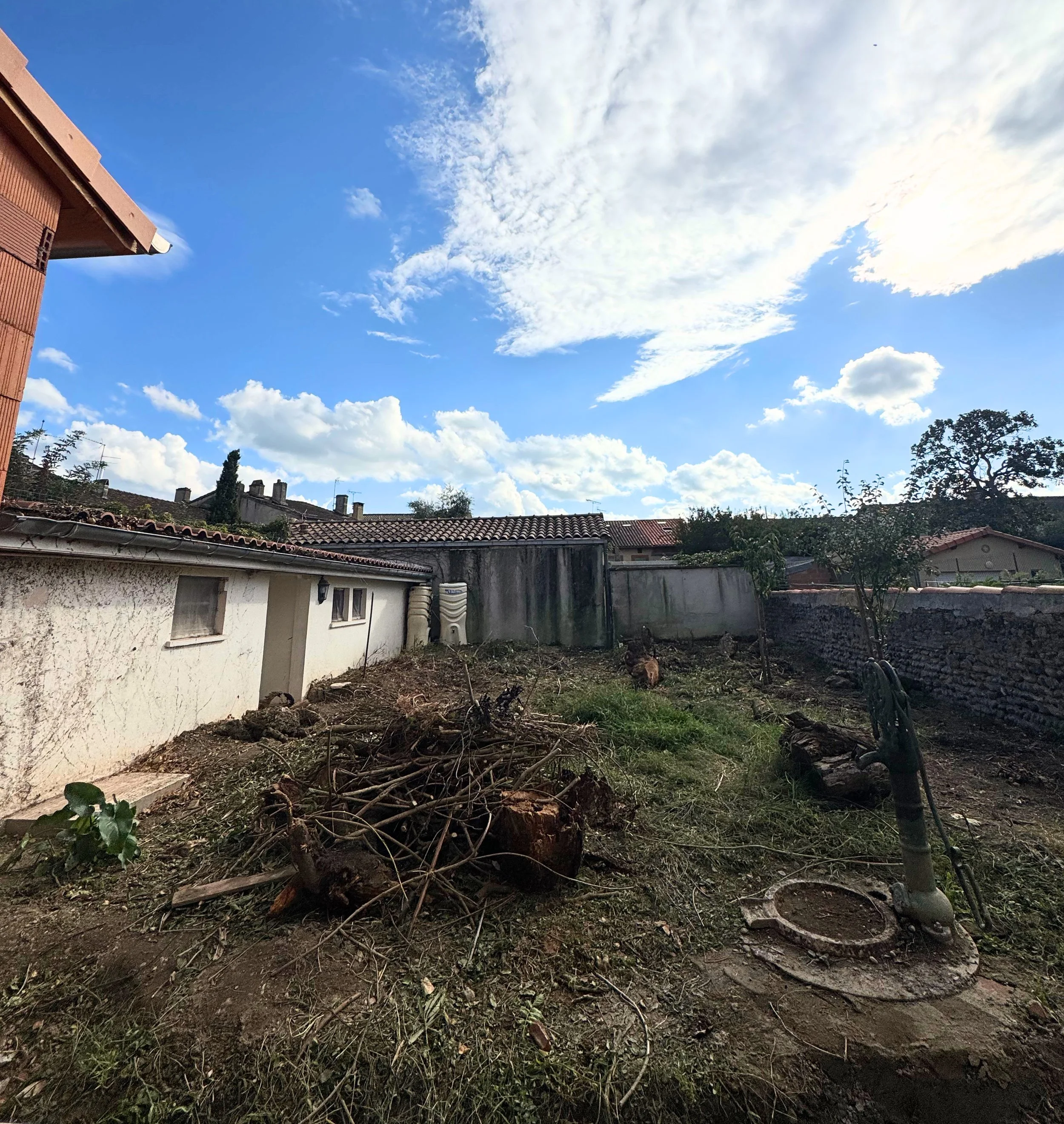 Jardin avec des branches coupées, une remise, des toits de maisons et un ciel bleu avec des nuages.