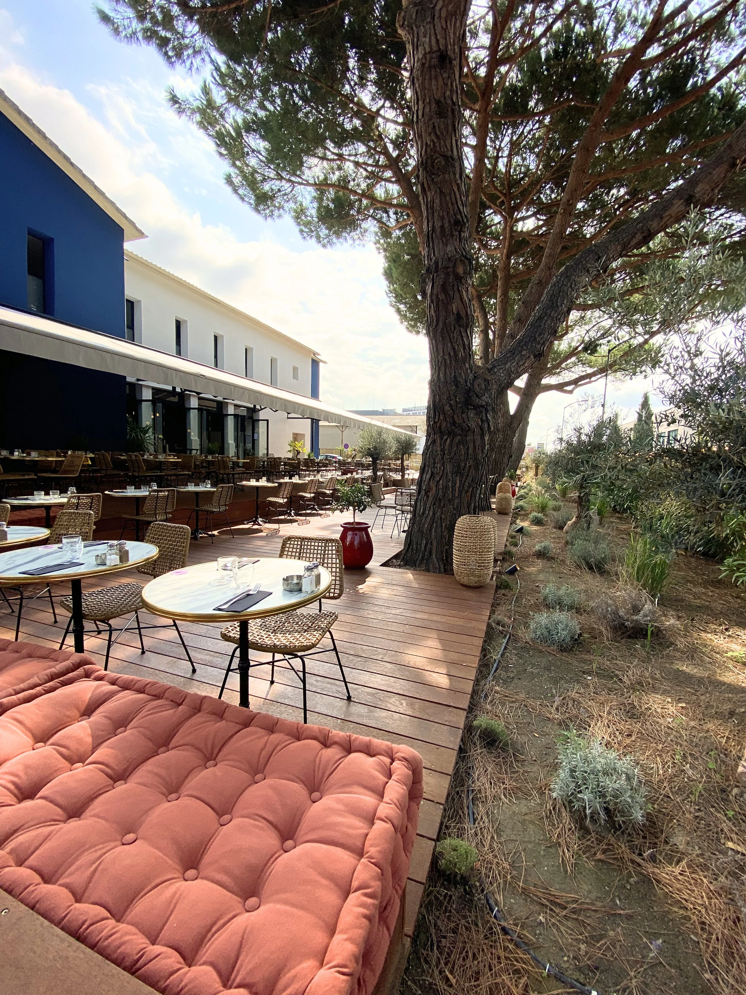 Une terrasse extérieure avec des tables rondes, des chaises en osier, un canapé en velours orange, un grand arbre et des plantes aromatiques