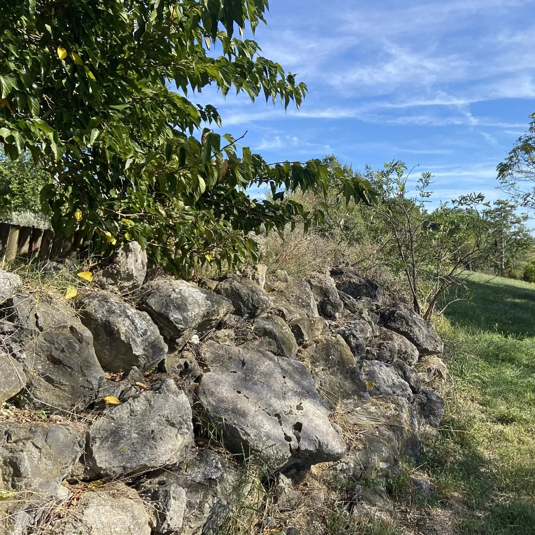 Vue d'une scène naturelle avec des rochers en premier plan, un buisson ou arbre avec des feuilles vertes à gauche, et un ciel bleu avec quelques nuages en arrière-plan.