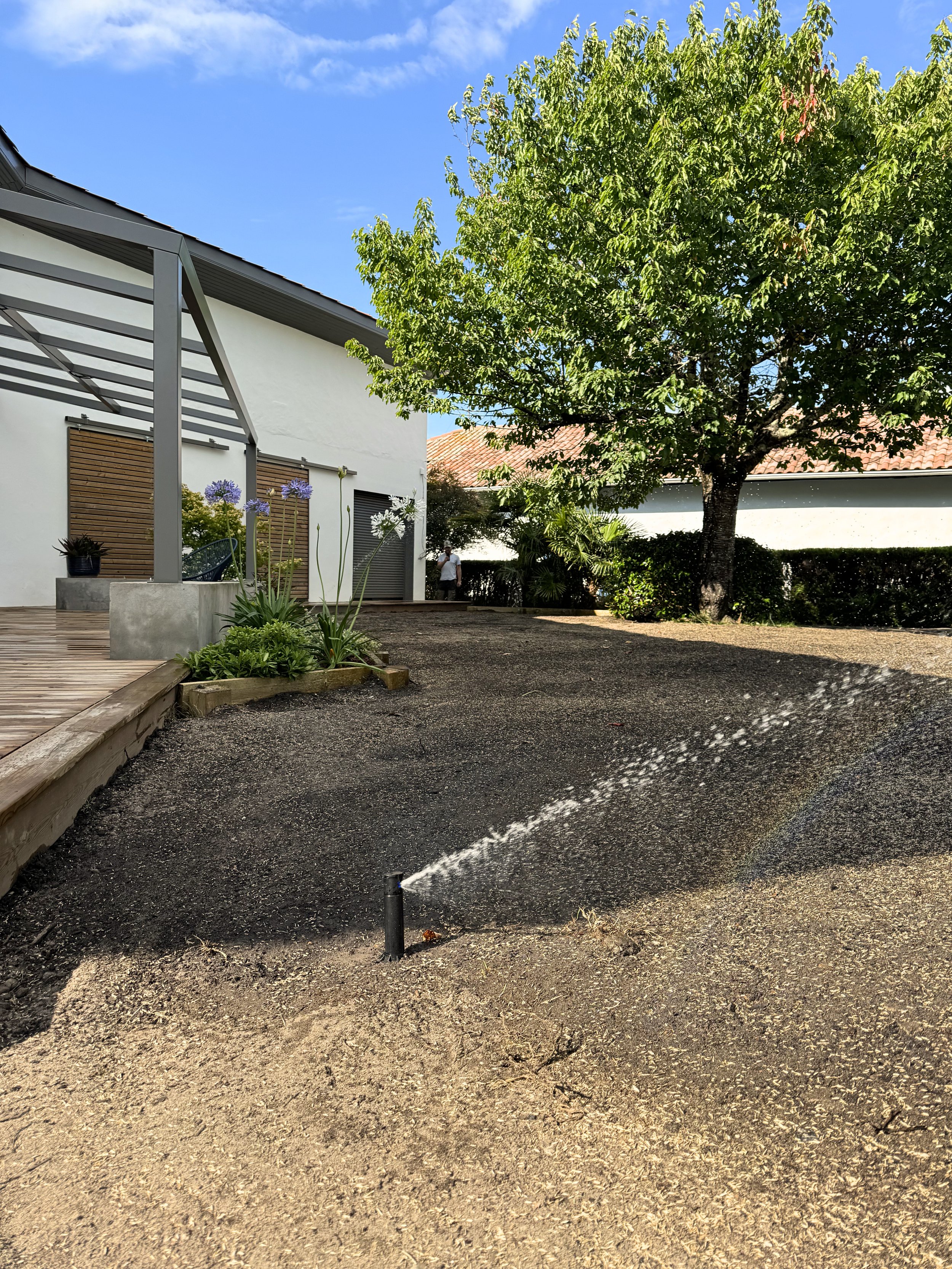 Jardin avec des arbres, une maison moderne avec une pergola, arrosage automatique et des fleurs.