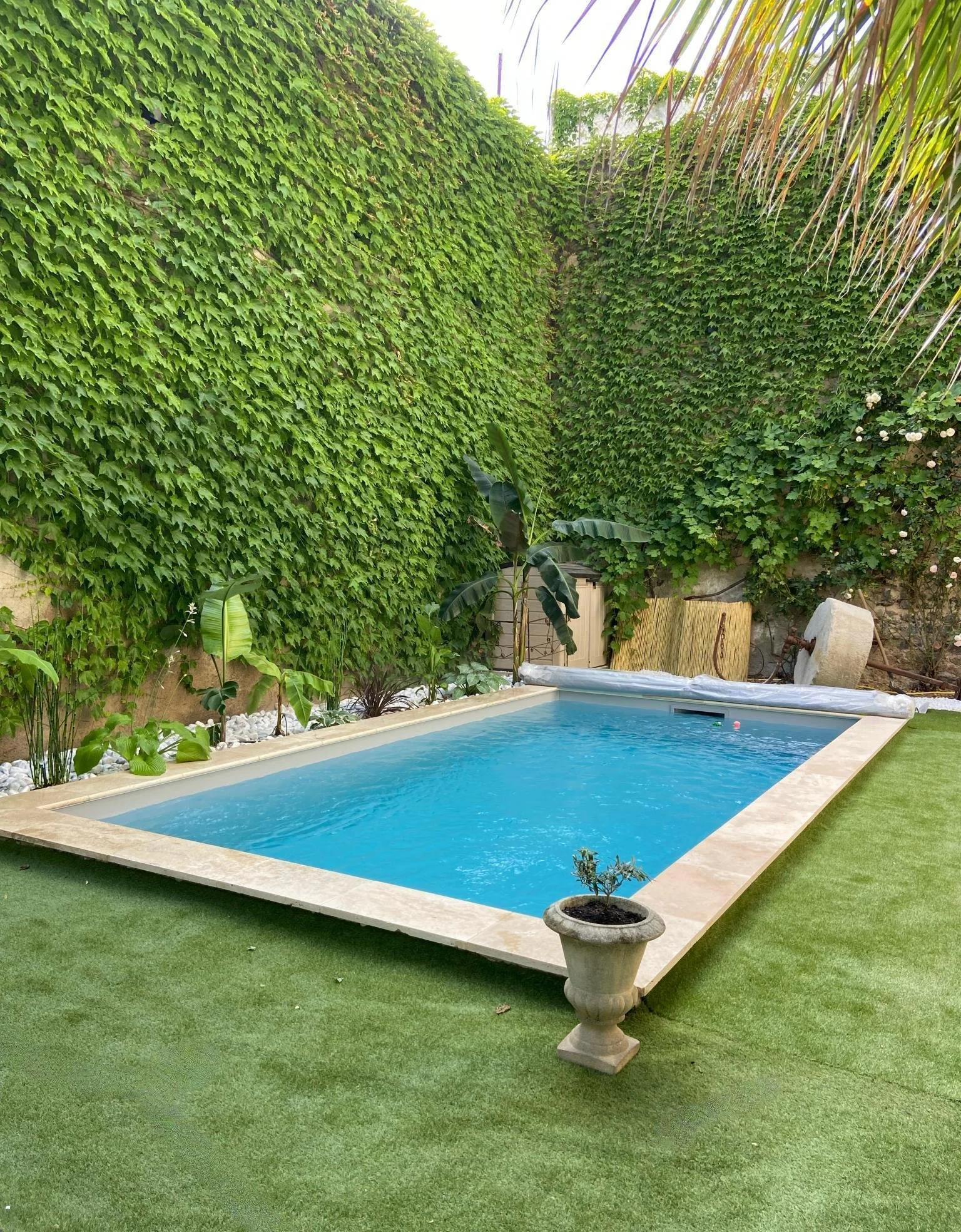 Piscine carrée entourée de pelouse artificielle, avec une grande haie de feuillage vert à l'arrière-plan et des plantes en pot autour.