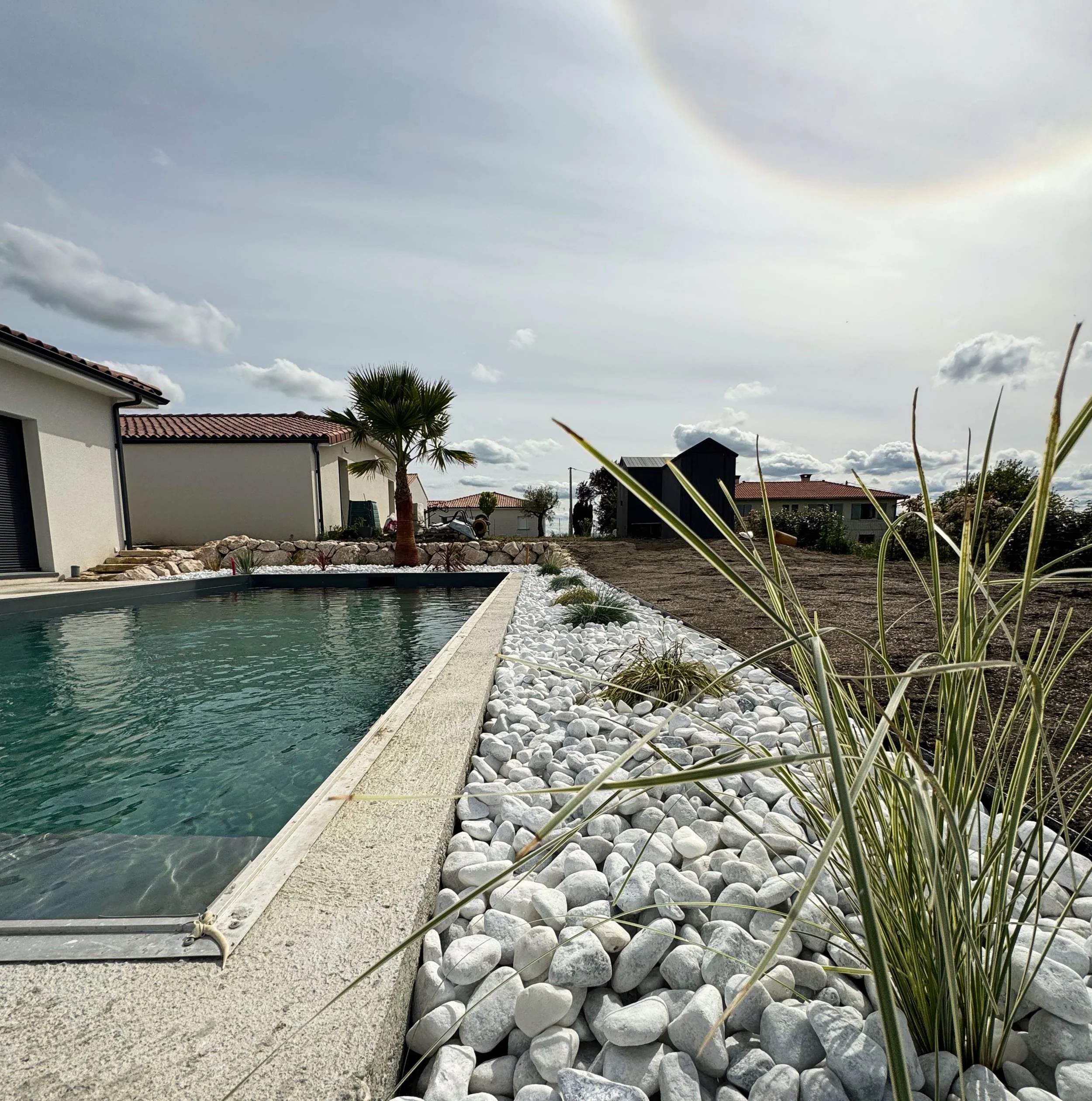 Piscine dans un jardin avec un palmier, des rochers blancs, des plantes ornementales, des maisons en arrière-plan et un ciel partiellement nuageux.