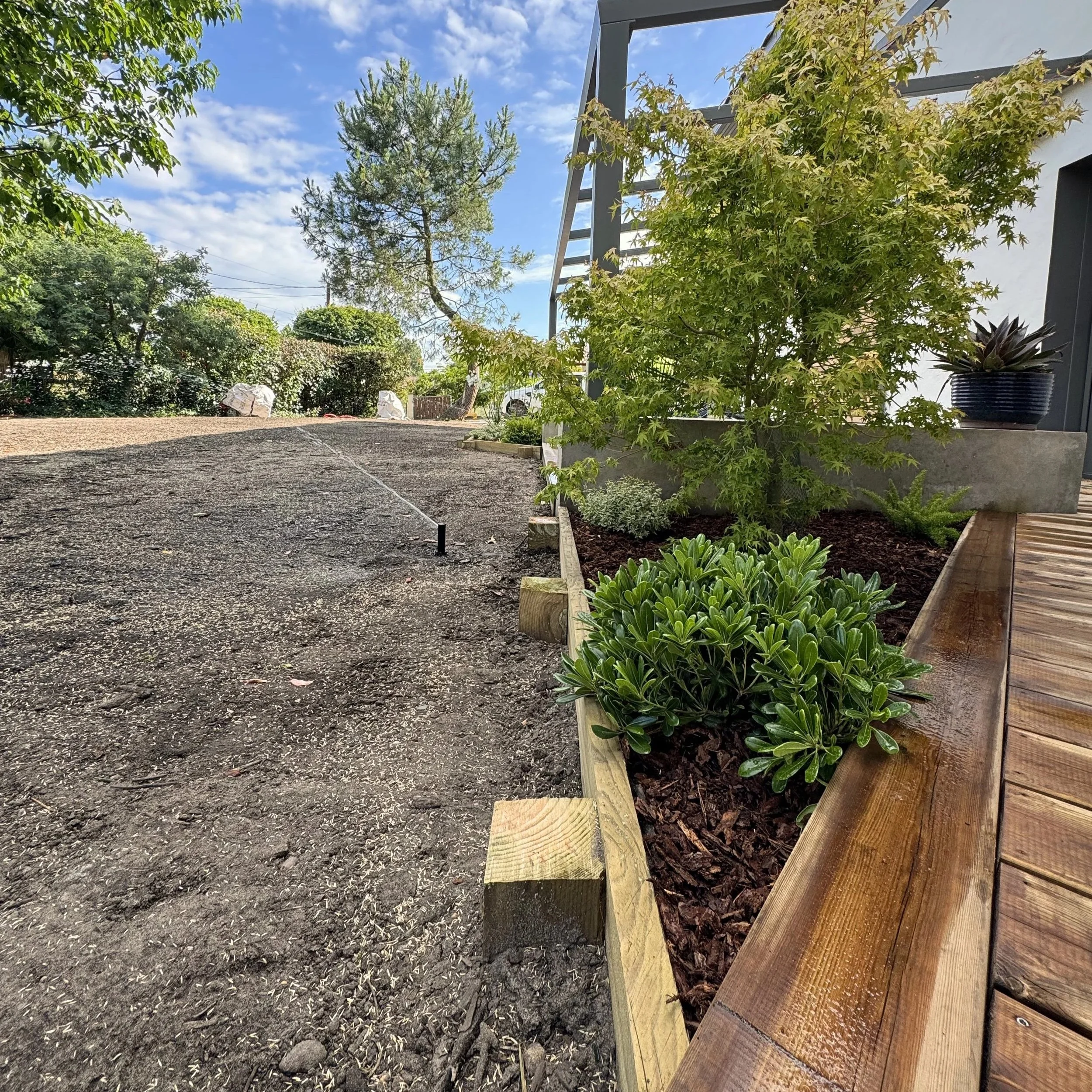 Balcon entouré de plantes vertes et d'un arbre avec un ciel bleu avec quelques nuages en arrière-plan.