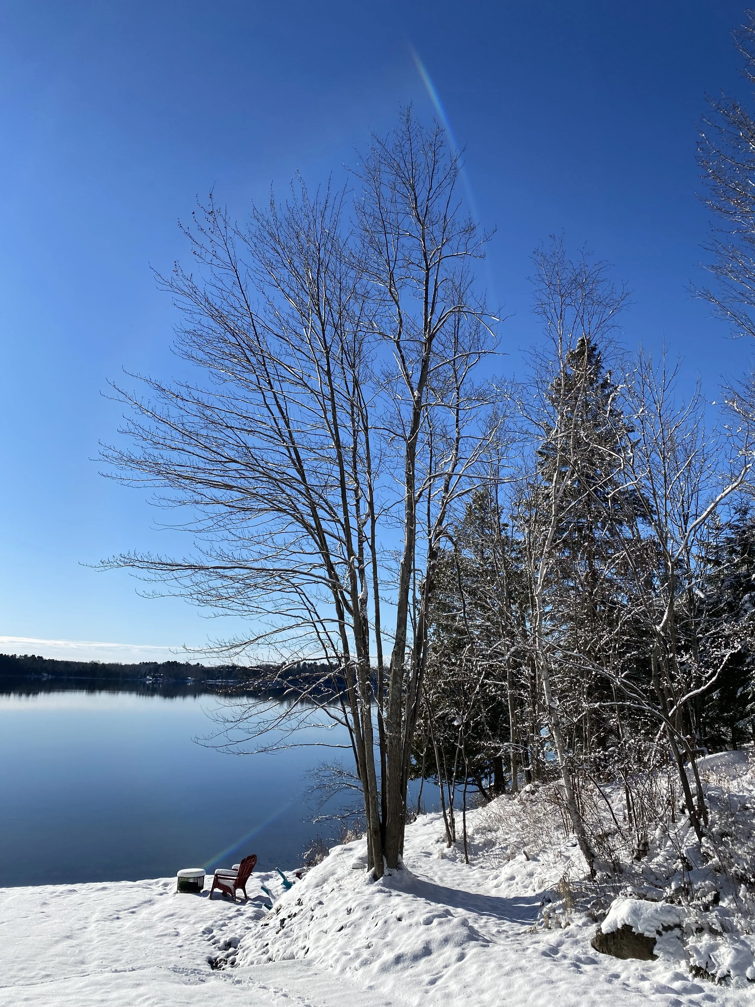 TLCA given seat on City Of North Bay’s Rural Advisory Committee