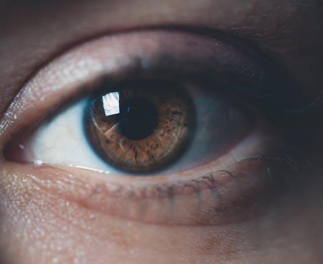 Close-up of a human eye with brown iris and detailed eyelashes.