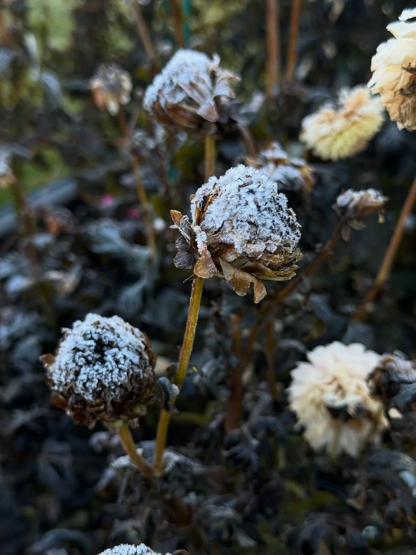 The end of a season or the beginning of the next.