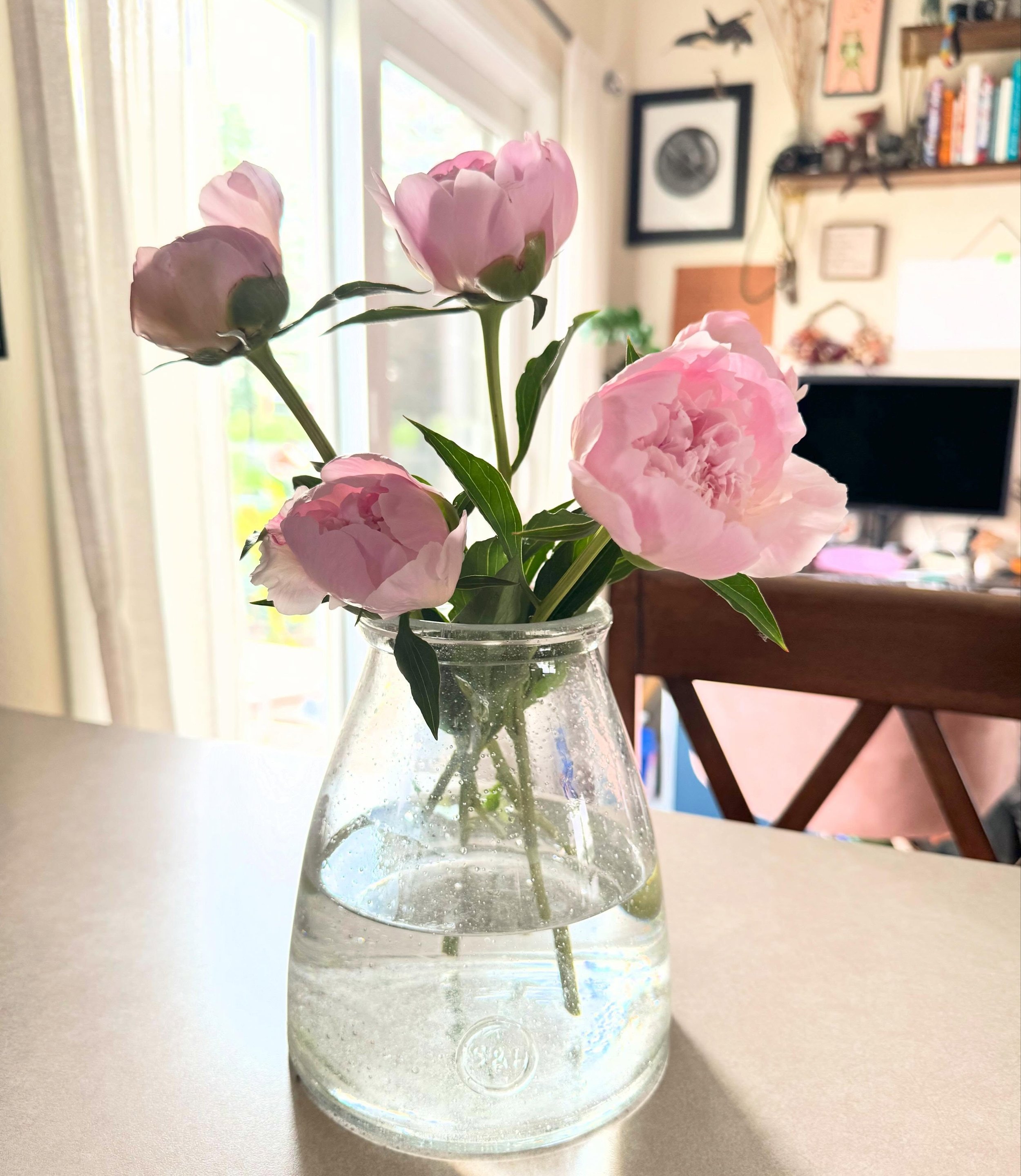 I&rsquo;ve been thinking a lot lately about the lessons I can learn in my backyard. This is the third season since I put in a row of peonies along the fence. It felt like it would be forever till they bloomed. Last year I got 0-1 blooms on some plant