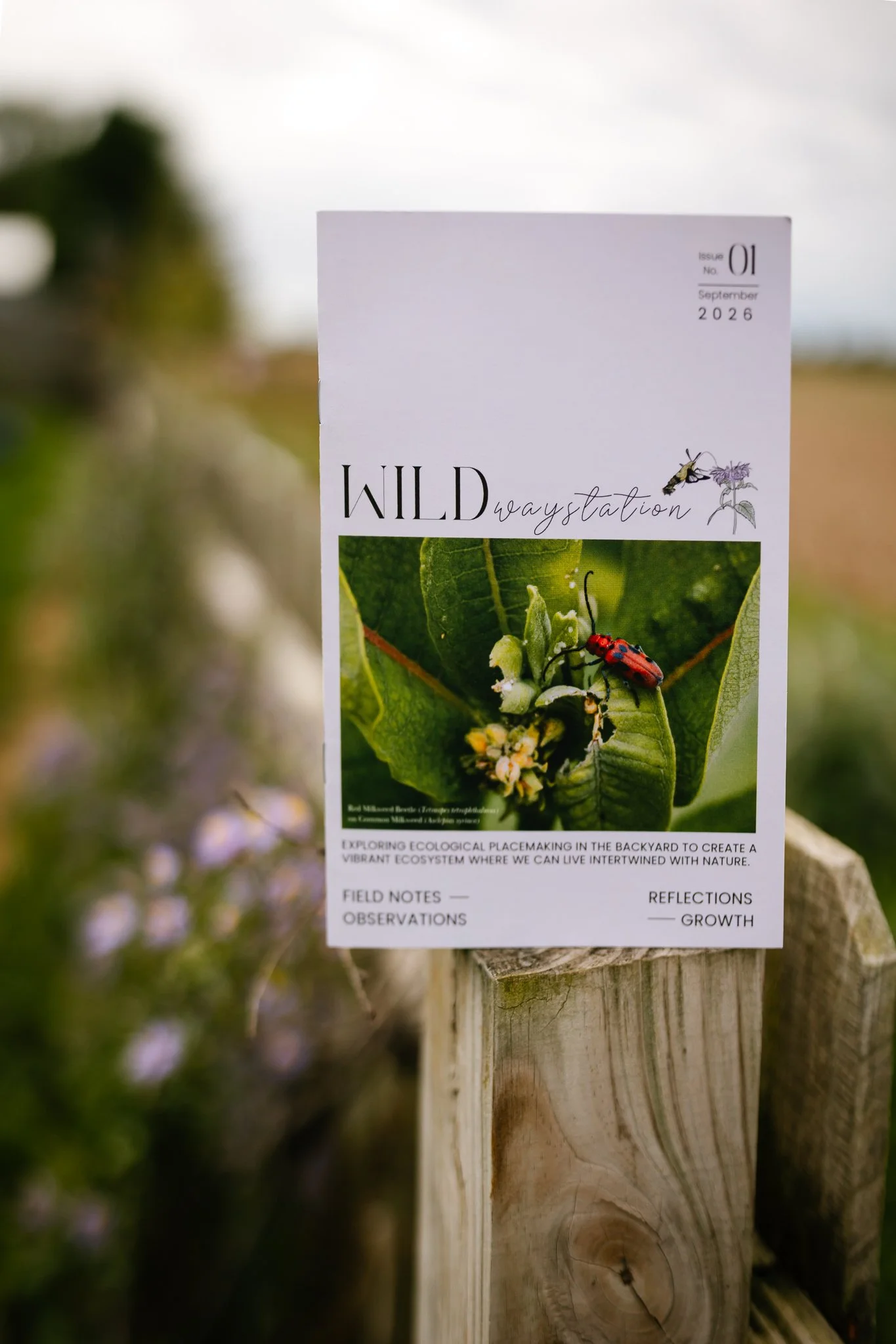 Wild Waystation Monthly Zine Subscription
