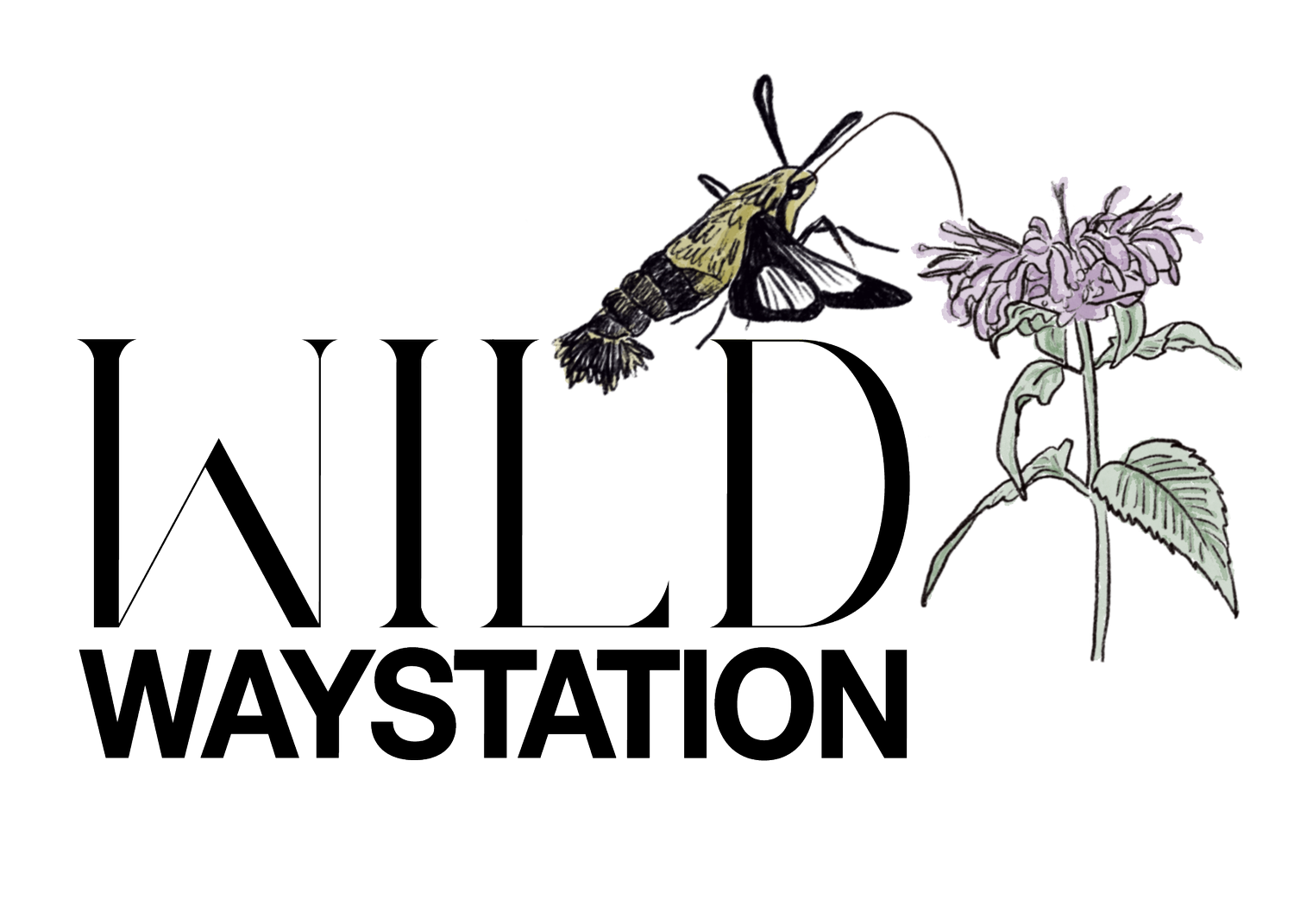 Wild Waystation