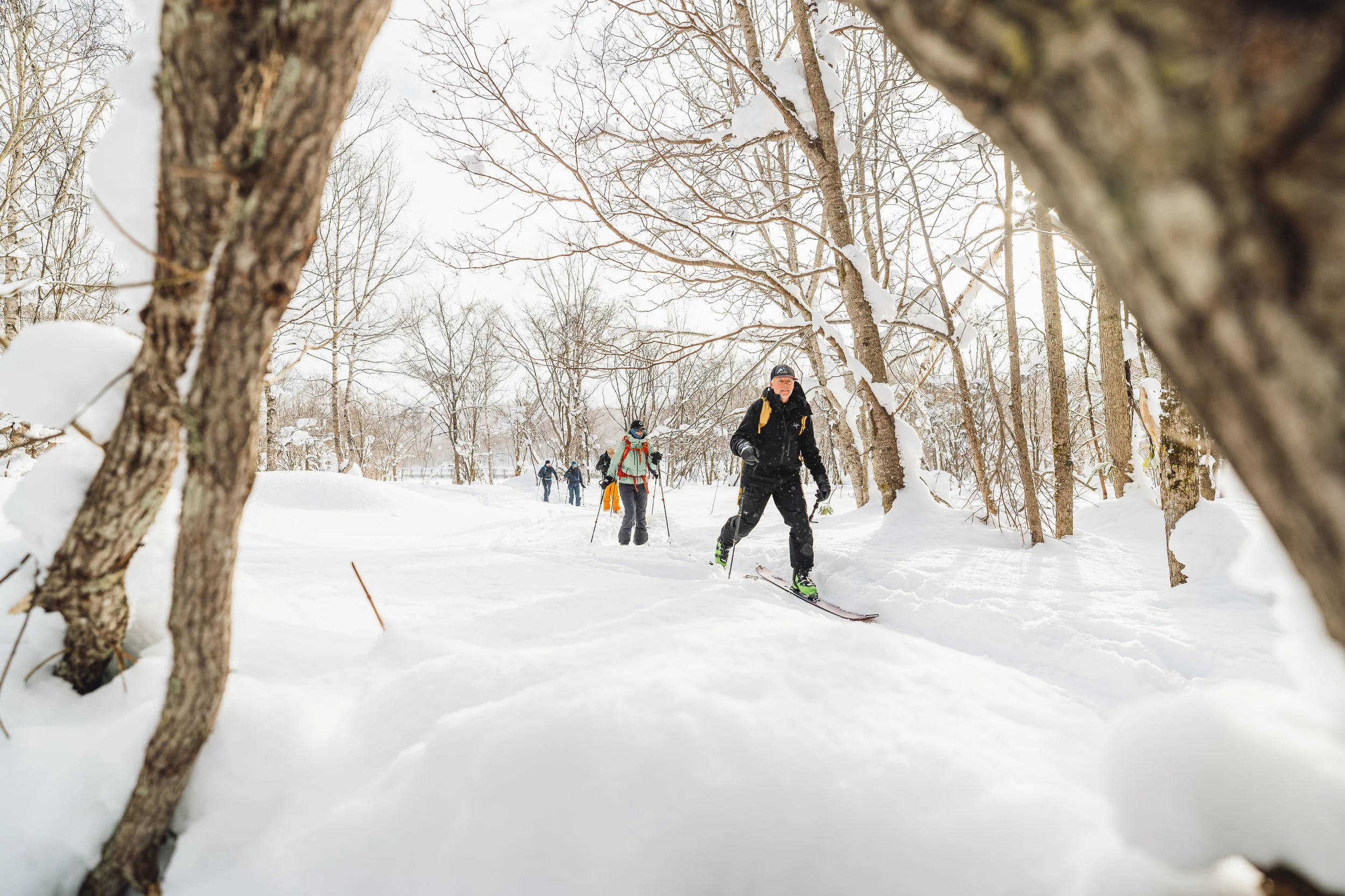 Group of people snowshoeing through a snow-covered forest in winter.