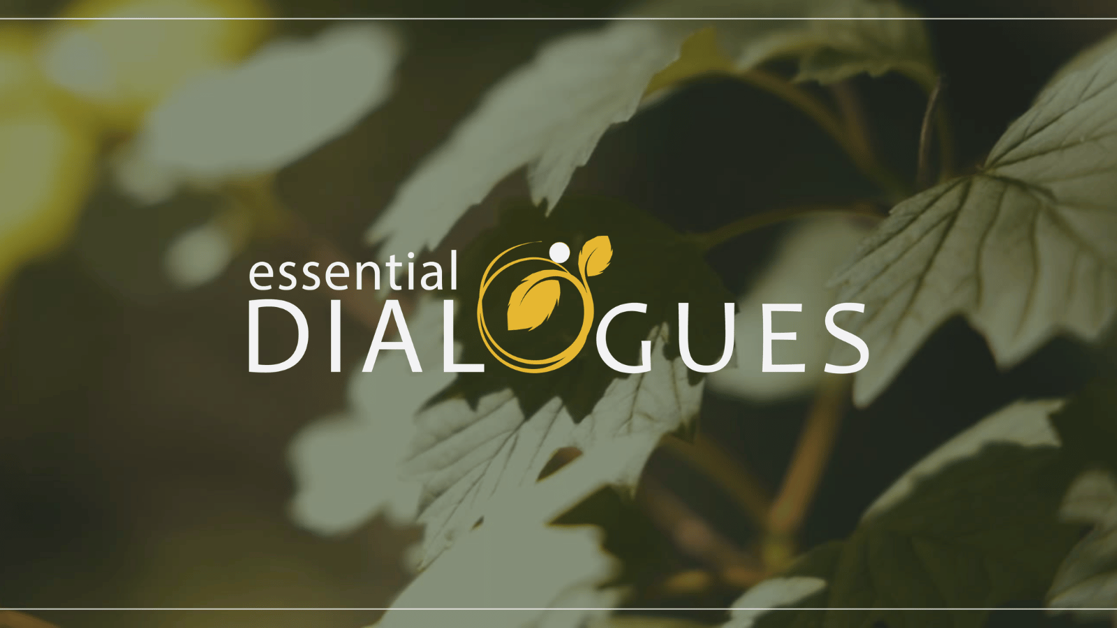 Essential Dialogues Llc