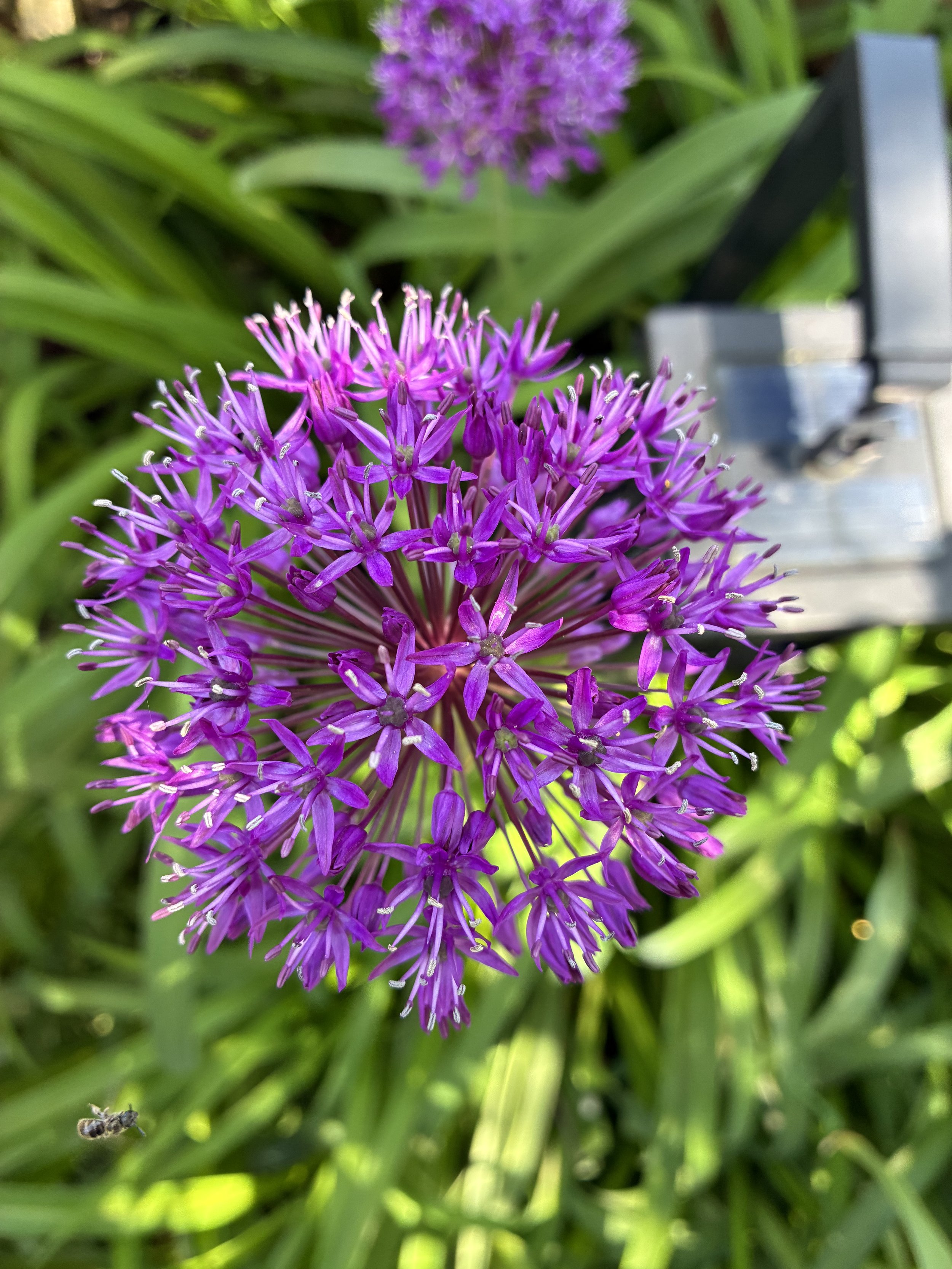 IMG_0238.jpeg