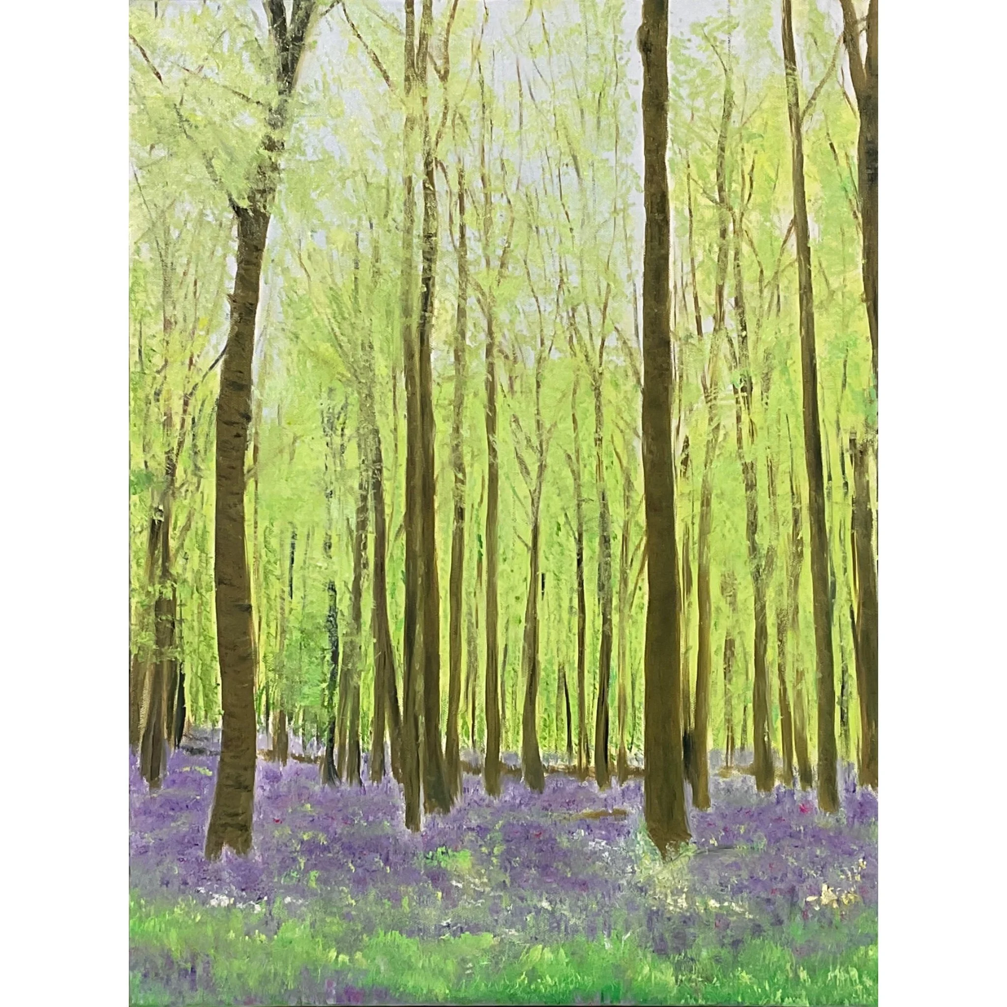 Bluebell Woods | 18" x 24" (60.96 x 45.72 cm) | Oil On Canvas