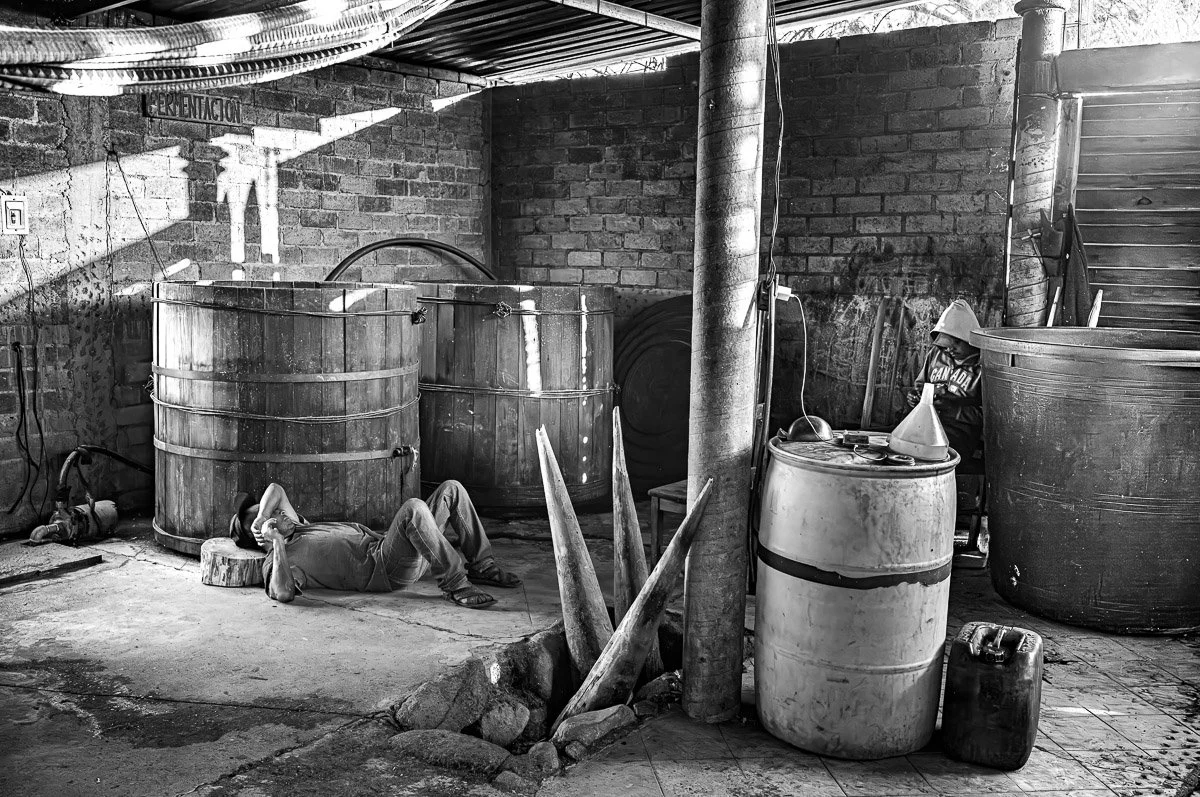 Mezcal-9.jpg