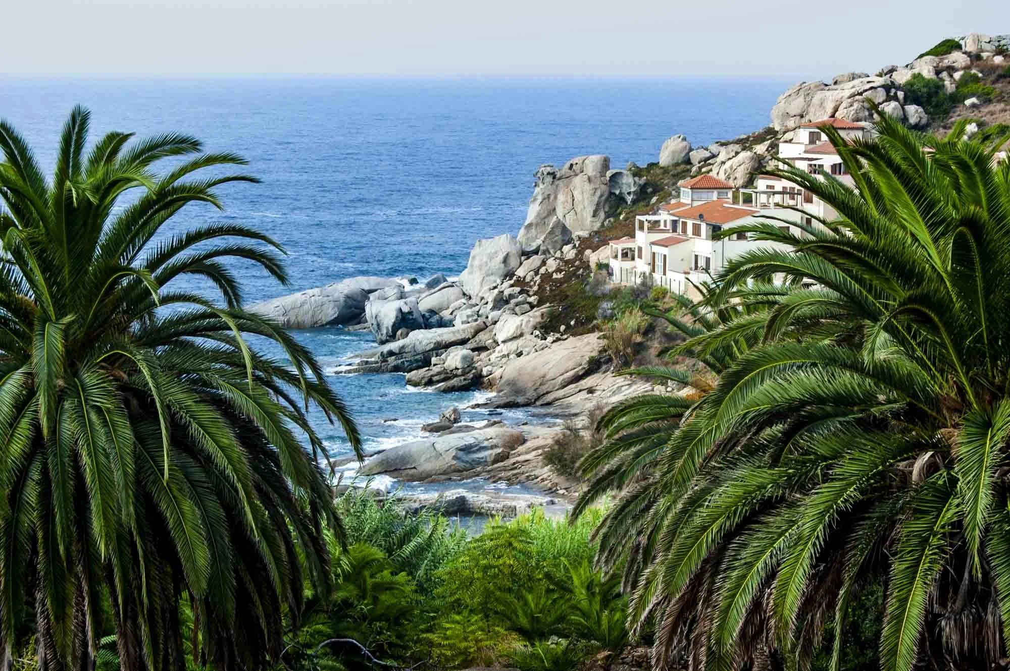 Ocean view with rocky cliffs and white houses, framed by lush green palm trees.