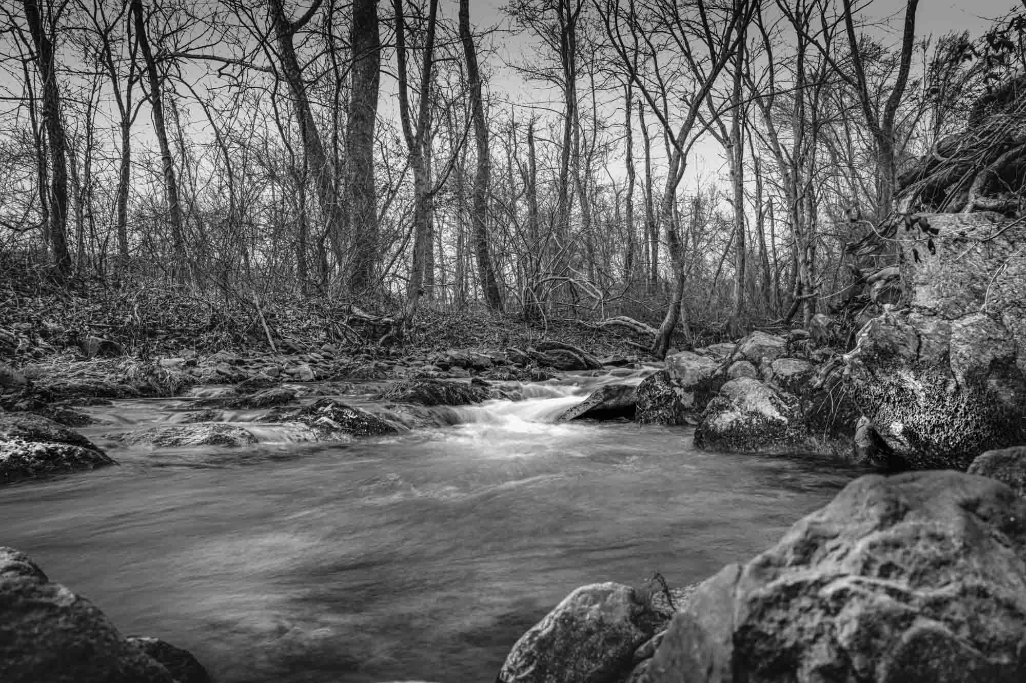 Land Bound, 2024

George the Second …do give grant and confirm unto David Mills one certain tract or parcel of land in the County of Hanover on the north fork of the Moremans River… 

Virginia Land Office Patents No. 18, 1738-1739, page 535, 12 March