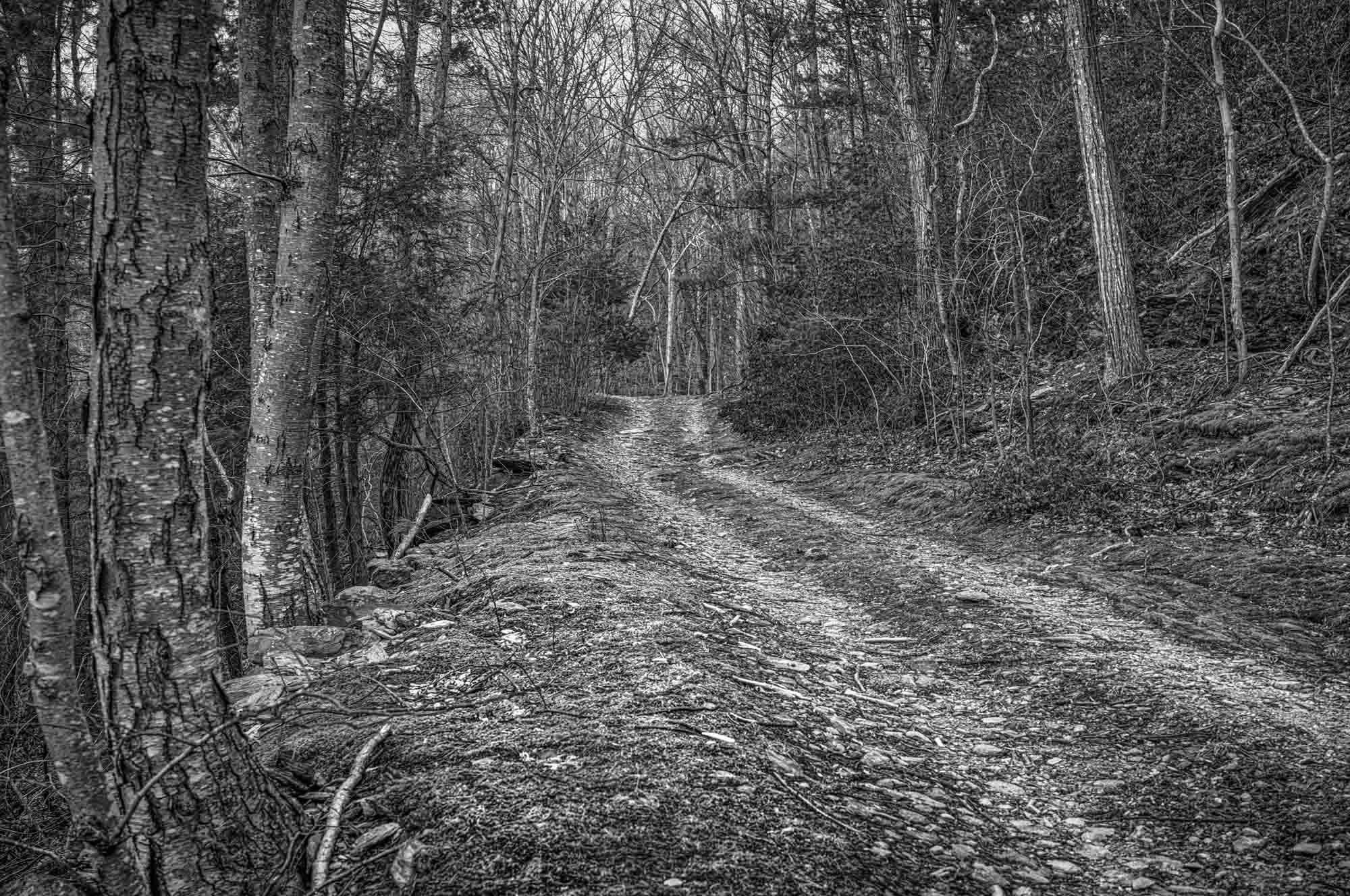 Browns Gap Turnpike, 2025

Browns Gap Turnpike represents one of the earliest constructed boundaries of movement across the Blue Ridge Mountains. Completed in 1806 as a privately owned toll road, it drew economic lines through the landscape, controll