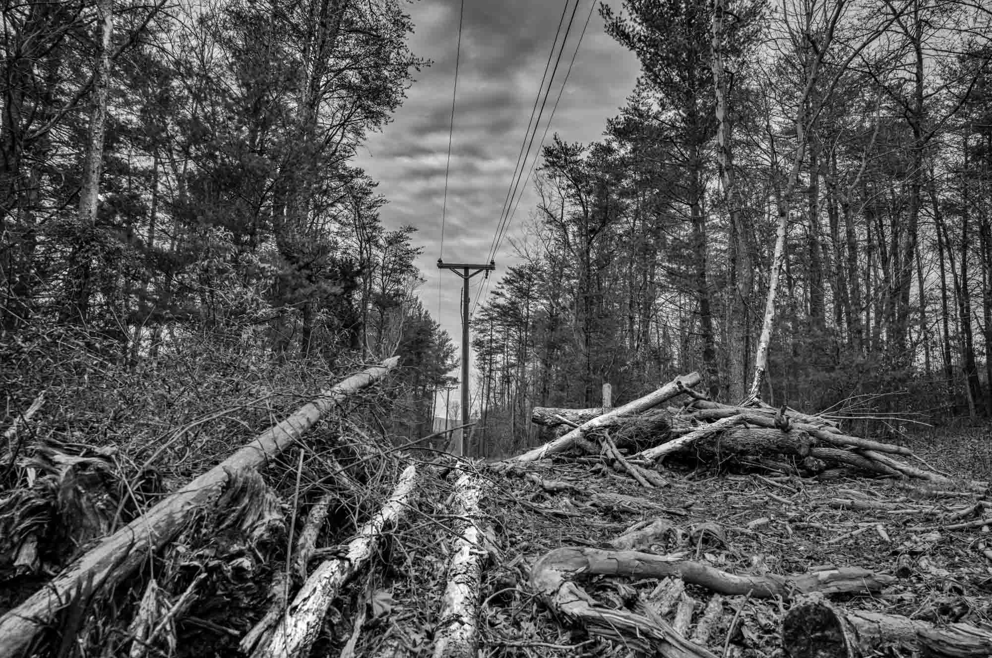 Eminent Domain, 2025

The power lines etched across this recently cleared forest landscape show the legal and cultural logics of eminent domain. Enshrined in the Fifth Amendment, this principle authorizes the taking of private property for public use