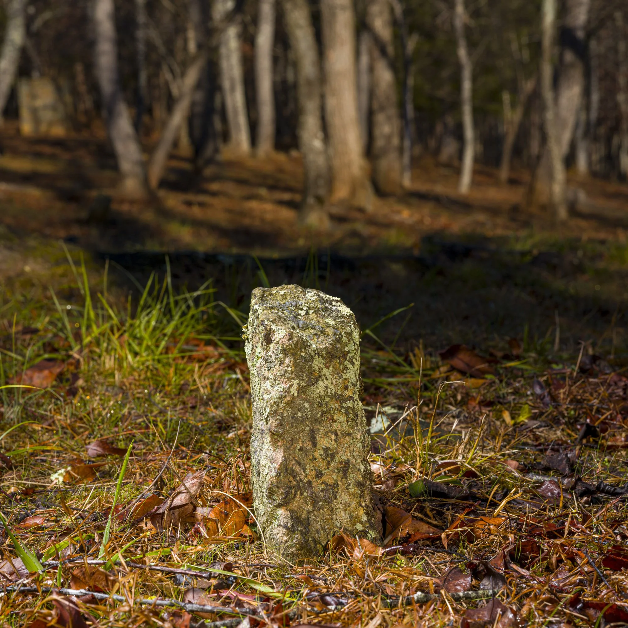 A moss-covered stone marker standing amid fallen autumn leaves and grass in a forest with tall trees in the background.