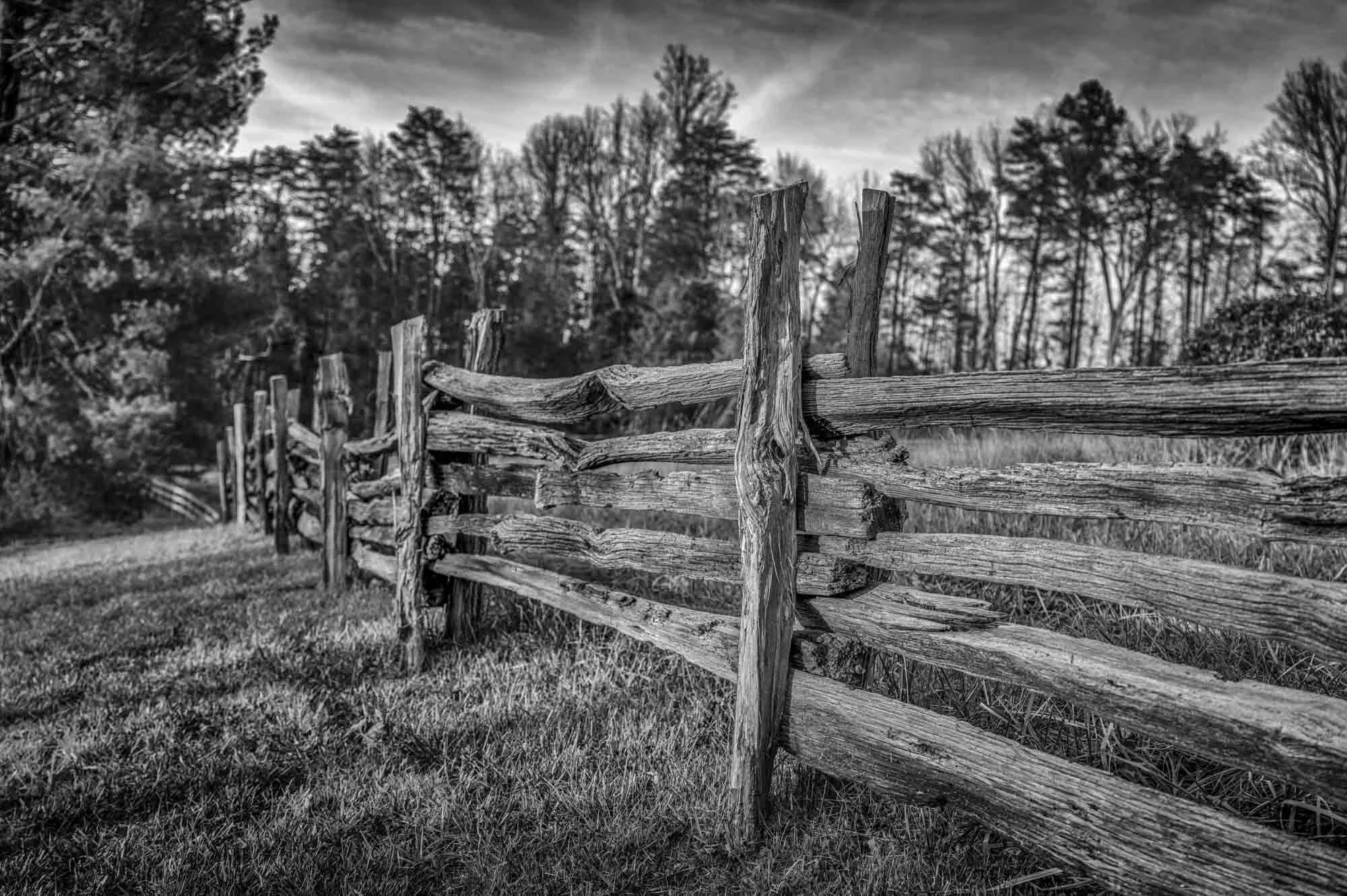 Land Divided, 2024

The abolition of primogeniture in Virginia in 1785 marked a significant turning point in the state's agricultural and economic history. By ending the legal practice of passing entire estates to the eldest son, landholdings were di