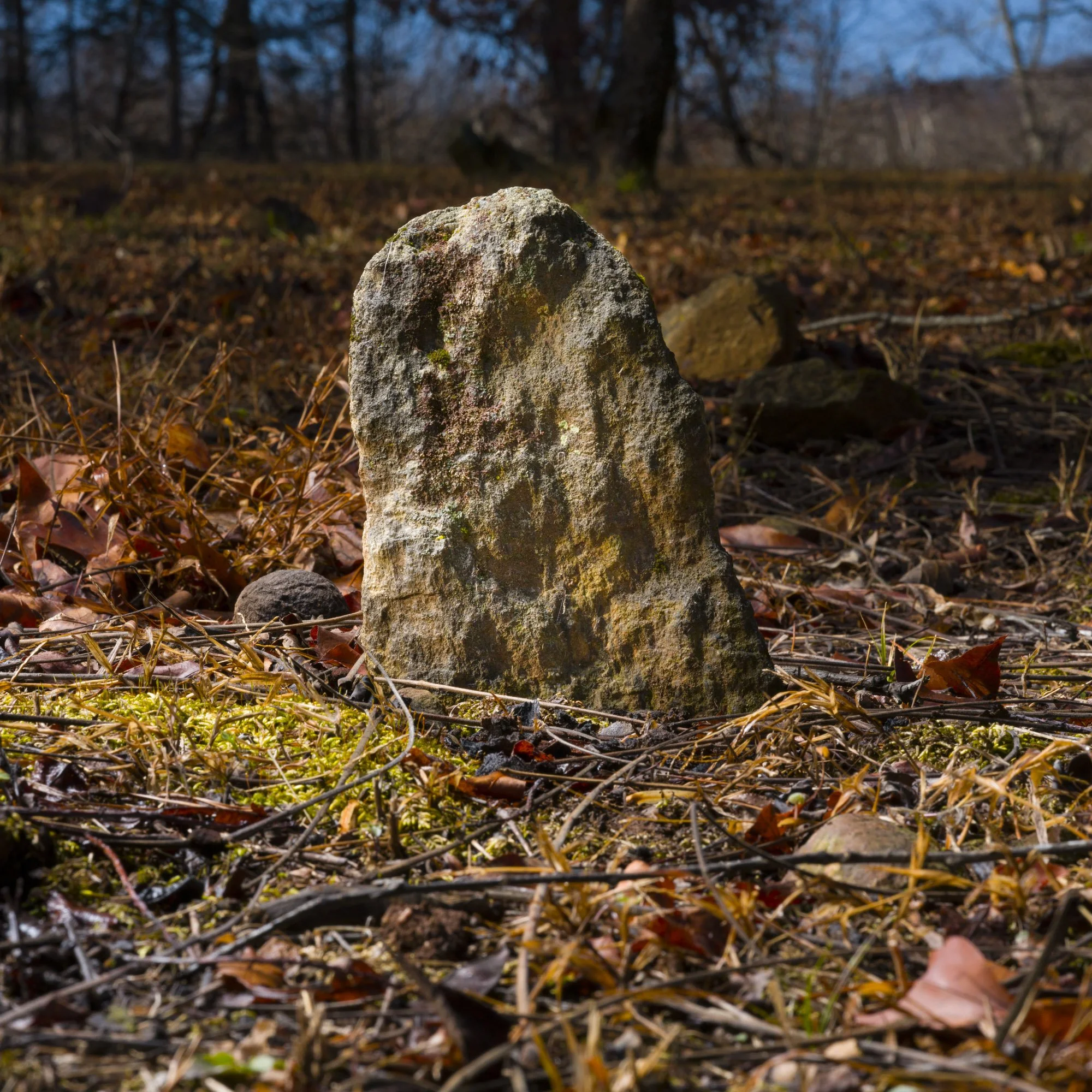 A weathered stone marker or standing stone in a forest clearing surrounded by fallen leaves, moss, and small rocks, with trees and a blue sky in the background.