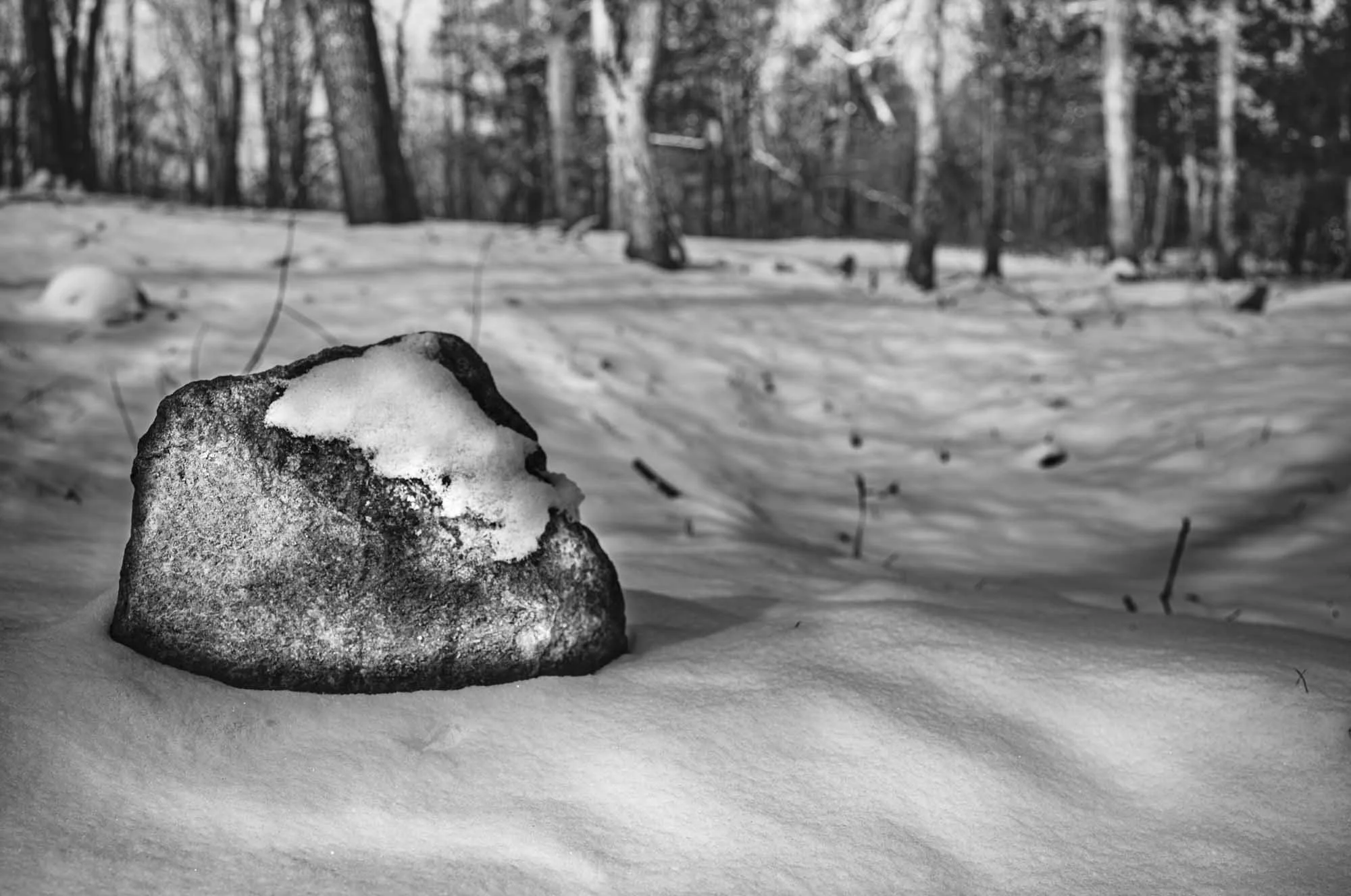 Silent Stones 2, 2025

A rough stone rises from the earth, silent in the snow. It stands at the head of a grave – a boundary in its most unambiguous form. Hidden in the Virginia soil, this burial site belongs to an enslaved person.

The enslaved buri